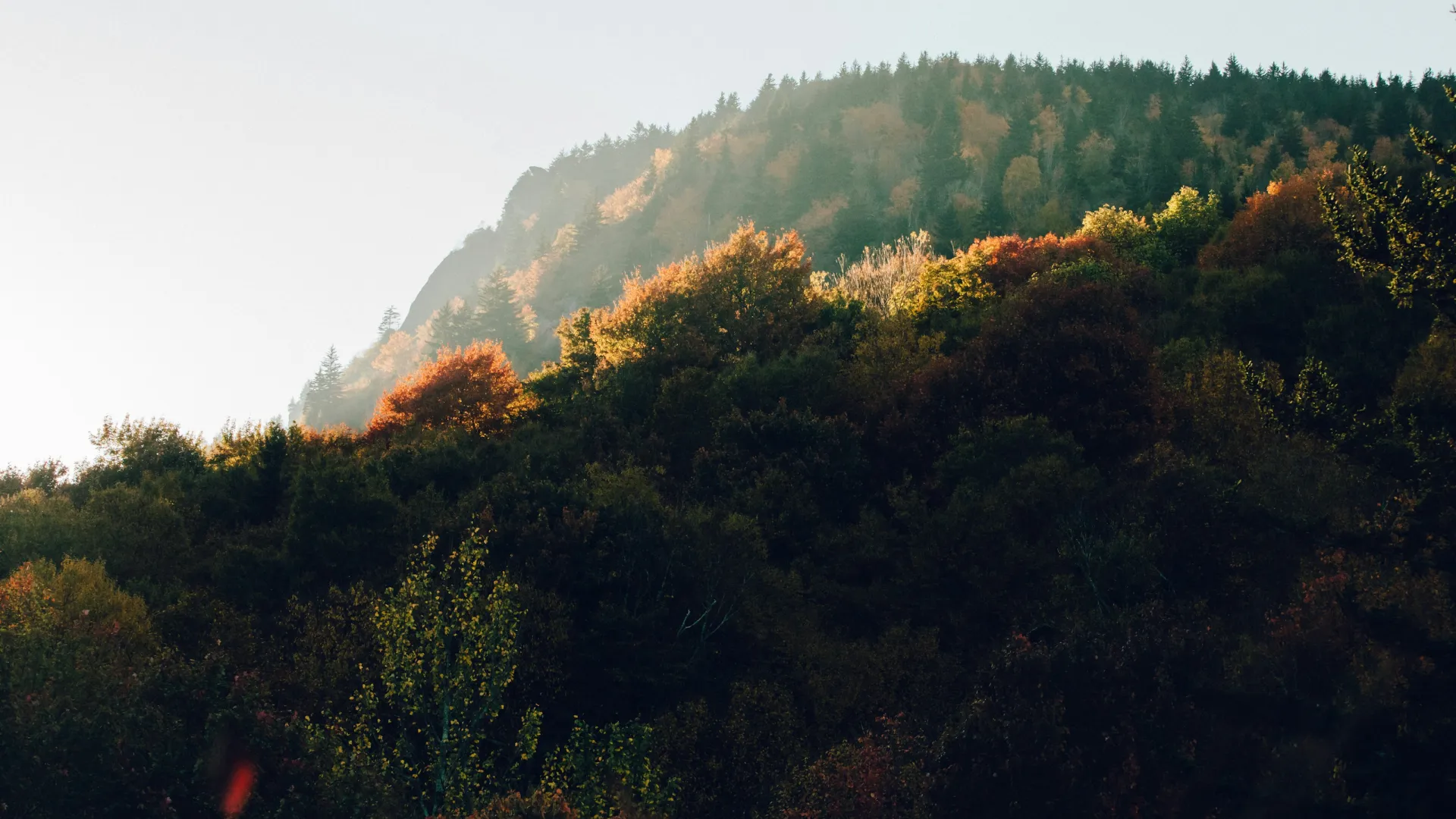 Home Inspectors in Trinity, NC, Randolph, 27370 Home Inspections, Certified Home Inspectors, Residential and Commercial Home Inspections in Trinity, NC, Randolph, 27370