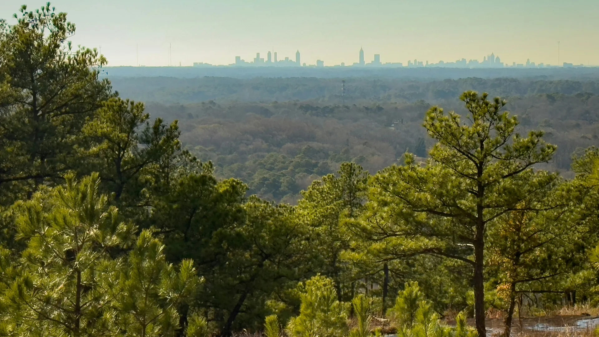 Home Inspectors in Pineview, GA, Dooly, Wilcox, 31072 Home Inspections, Certified Home Inspectors, Residential and Commercial Home Inspections in Pineview, GA, Dooly, Wilcox, 31072