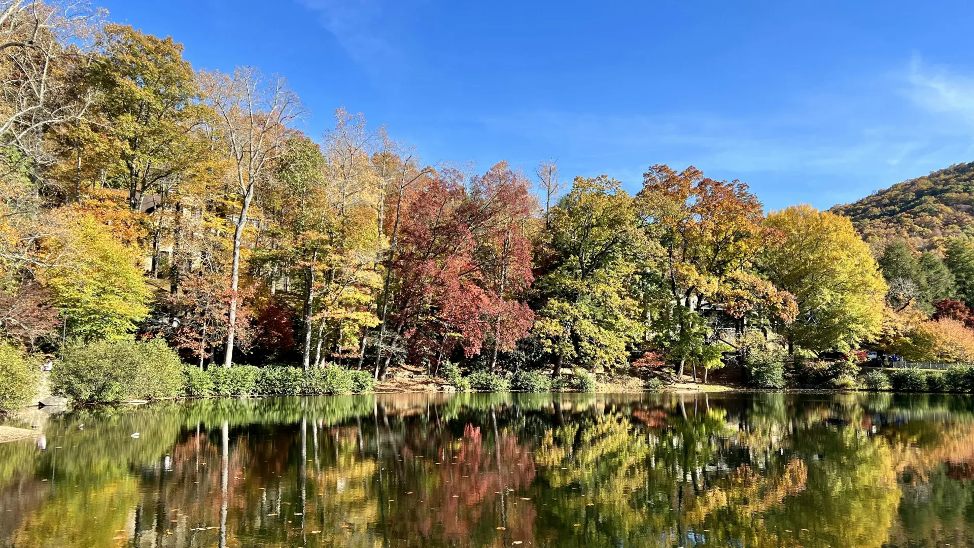 Home Inspectors in Hot Springs, NC, Madison County, 28743 Home Inspections, Certified Home Inspectors, Residential and Commercial Home Inspections in Hot Springs, NC, Madison County, 28743