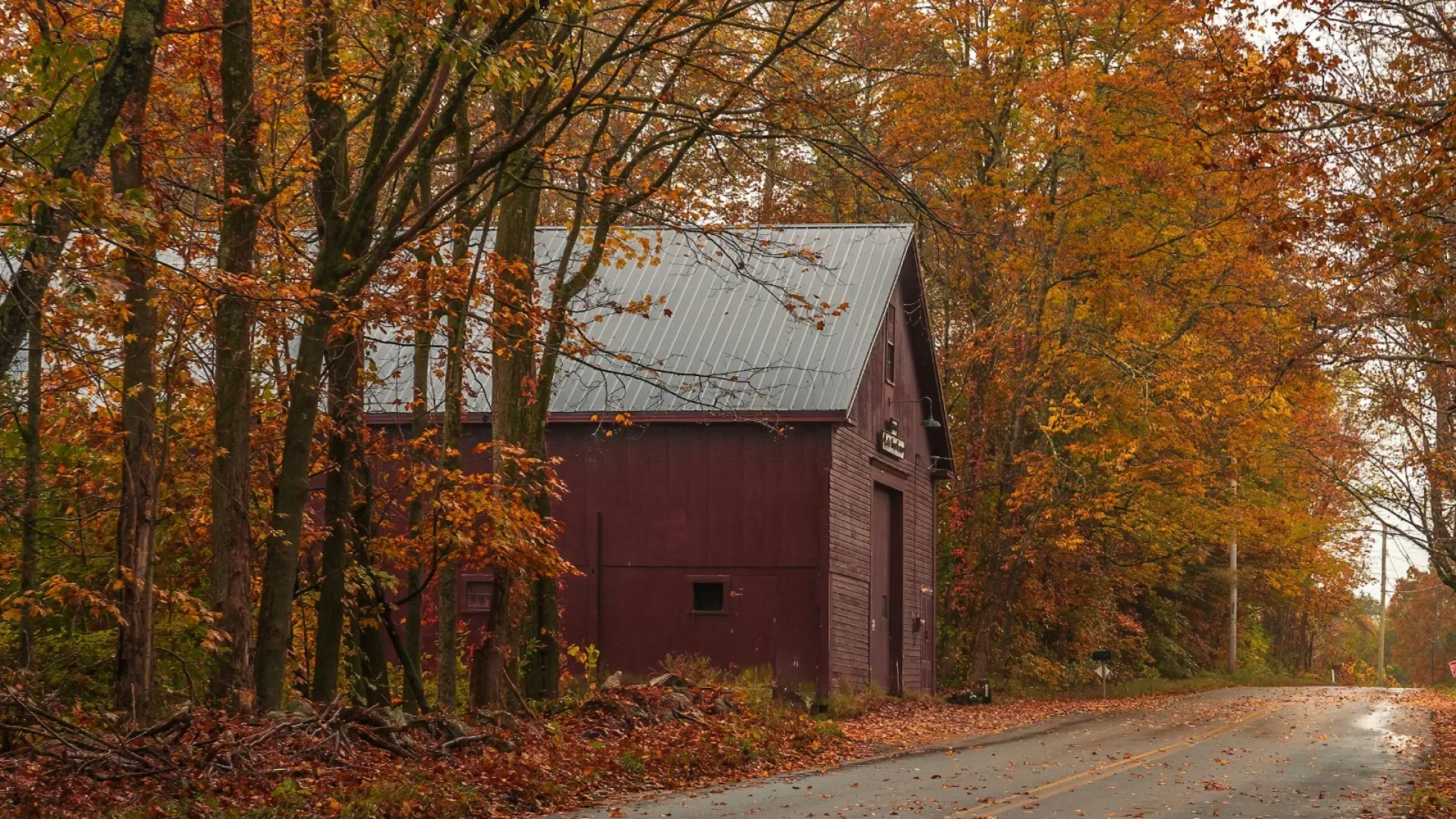 Country road with autumn leaves, a red barn, and a 40 mph speed limit sign under fall trees.