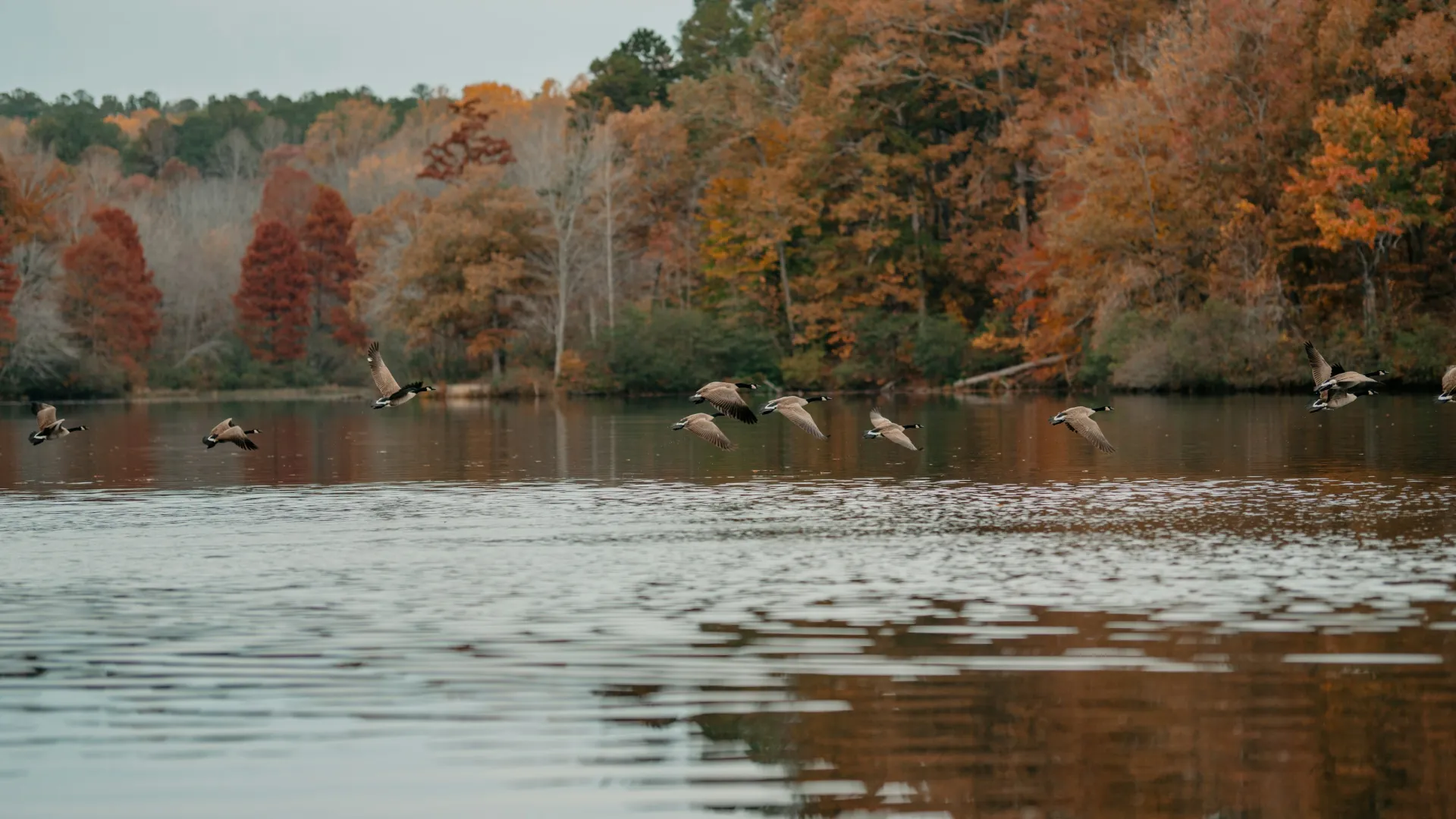 Home Inspectors in Point South, SC, Jasper, Beaufort, 29927 Home Inspections, Certified Home Inspectors, Residential and Commercial Home Inspections in Point South, SC, Jasper, Beaufort, 29927