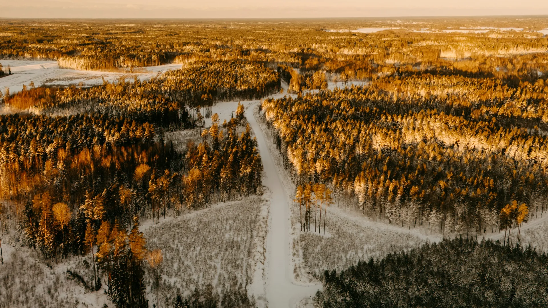 Home Inspectors in Pinnacle, NC, Stokes County, 27043 Home Inspections, Certified Home Inspectors, Residential and Commercial Home Inspections in Pinnacle, NC, Stokes County, 27043