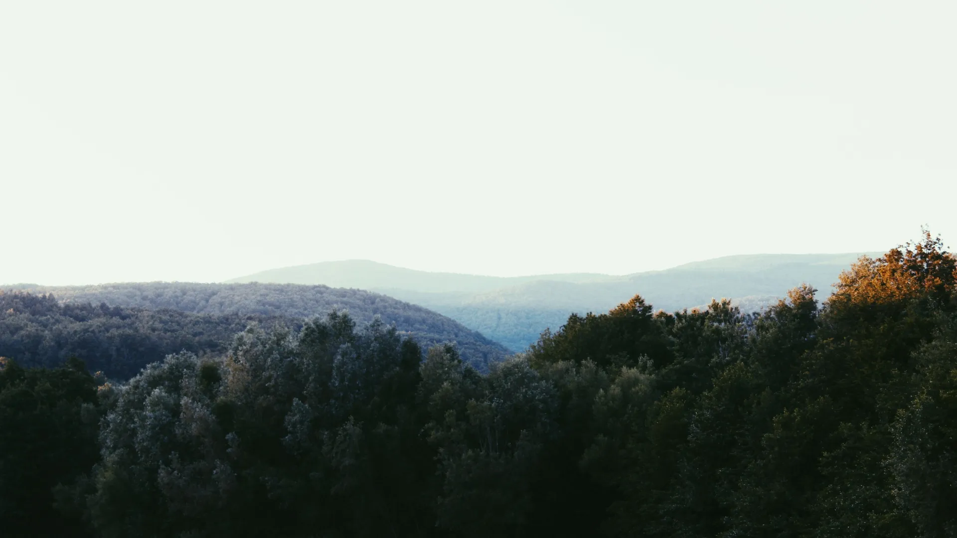 Home Inspectors in Mountain City, GA, Rabun County, 30562 Home Inspections, Certified Home Inspectors, Residential and Commercial Home Inspections in Mountain City, GA, Rabun County, 30562