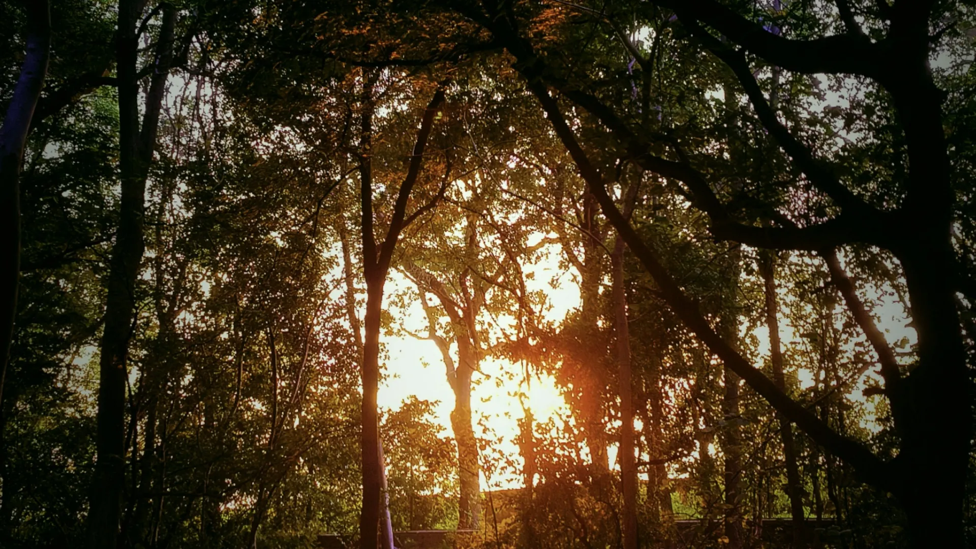 Home Inspectors in Ruby, SC, Chesterfield, 29741 Home Inspections, Certified Home Inspectors, Residential and Commercial Home Inspections in Ruby, SC, Chesterfield, 29741