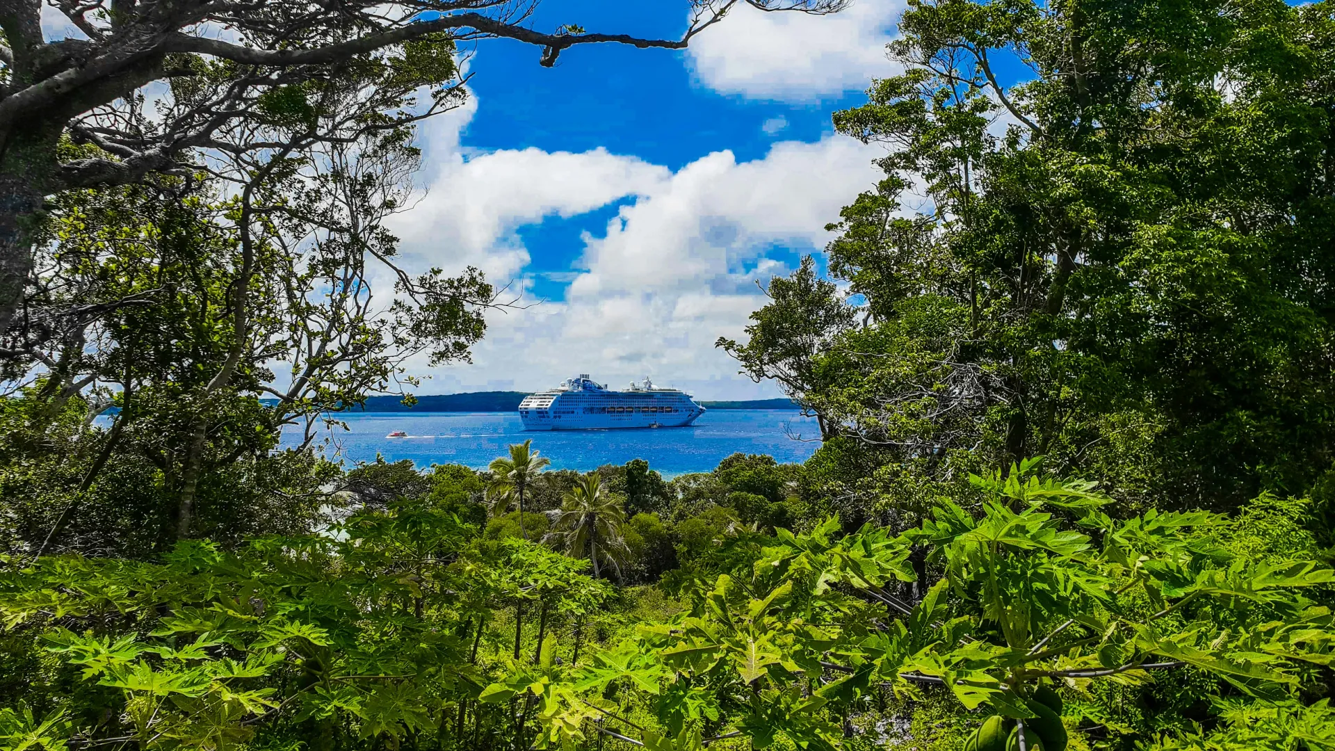 Home Inspectors in Saint Helena Island, SC, Beaufort, 29920 Home Inspections, Certified Home Inspectors, Residential and Commercial Home Inspections in Saint Helena Island, SC, Beaufort, 29920