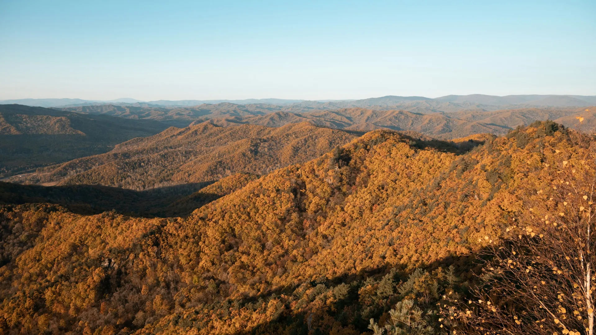 Home Inspectors in Ruffin, SC, Colleton, 29475 Home Inspections, Certified Home Inspectors, Residential and Commercial Home Inspections in Ruffin, SC, Colleton, 29475