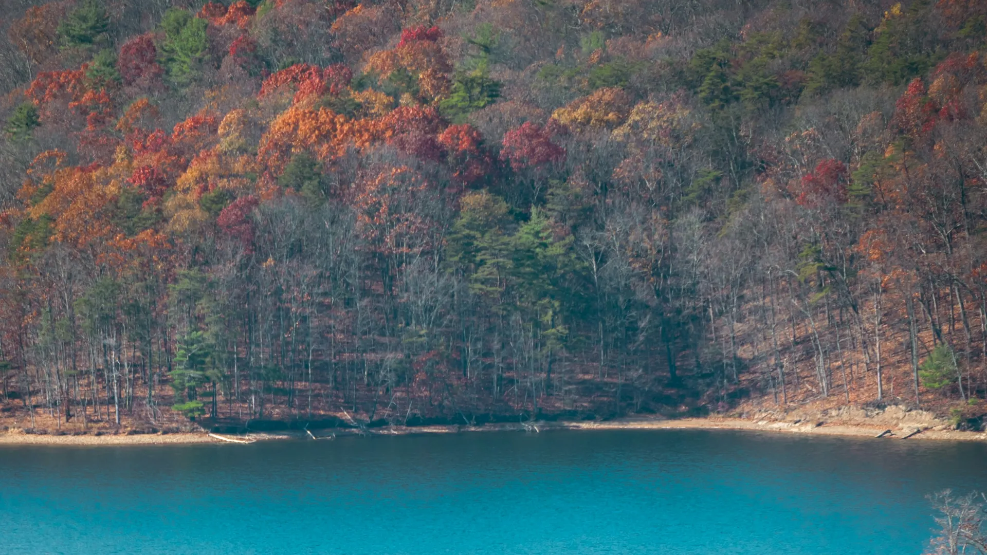 Home Inspectors in Spring Lake, NC, Cumberland, 28390 Home Inspections, Certified Home Inspectors, Residential and Commercial Home Inspections in Spring Lake, NC, Cumberland, 28390