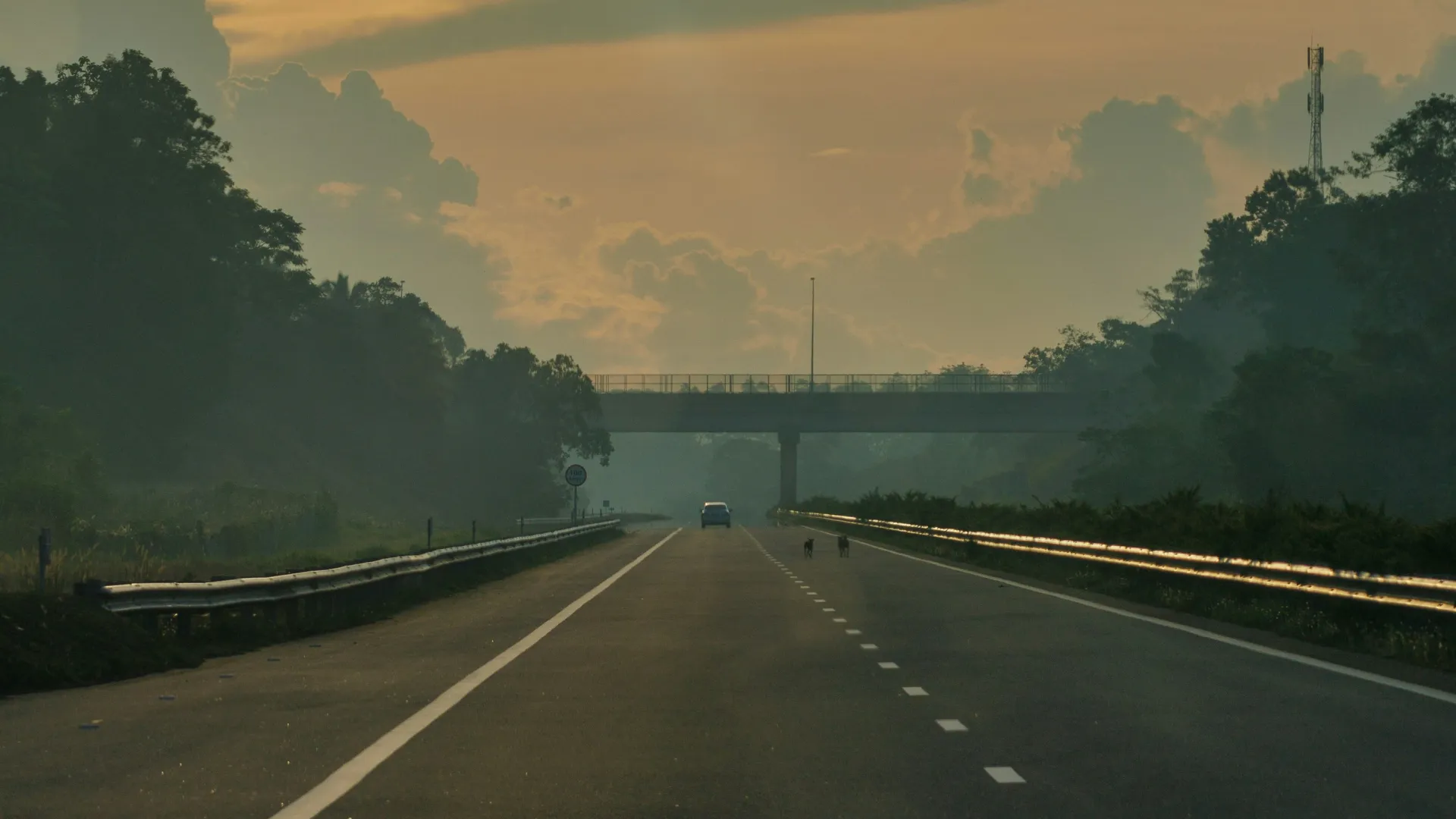 Home Inspectors in Smoaks, SC, Colleton, 29481 Home Inspections, Certified Home Inspectors, Residential and Commercial Home Inspections in Smoaks, SC, Colleton, 29481