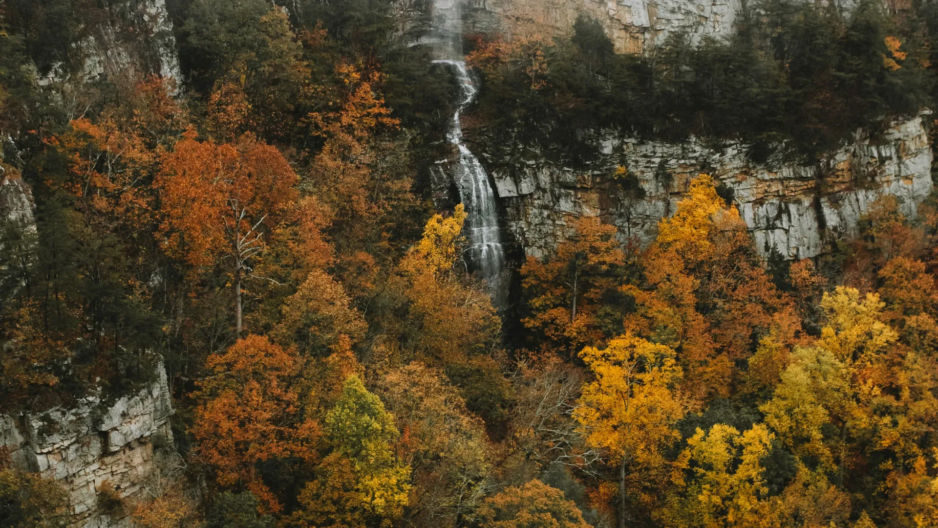 Home Inspectors in Winchester, TN, Franklin County, 37398 Home Inspections, Certified Home Inspectors, Residential and Commercial Home Inspections in Winchester, TN, Franklin County, 37398