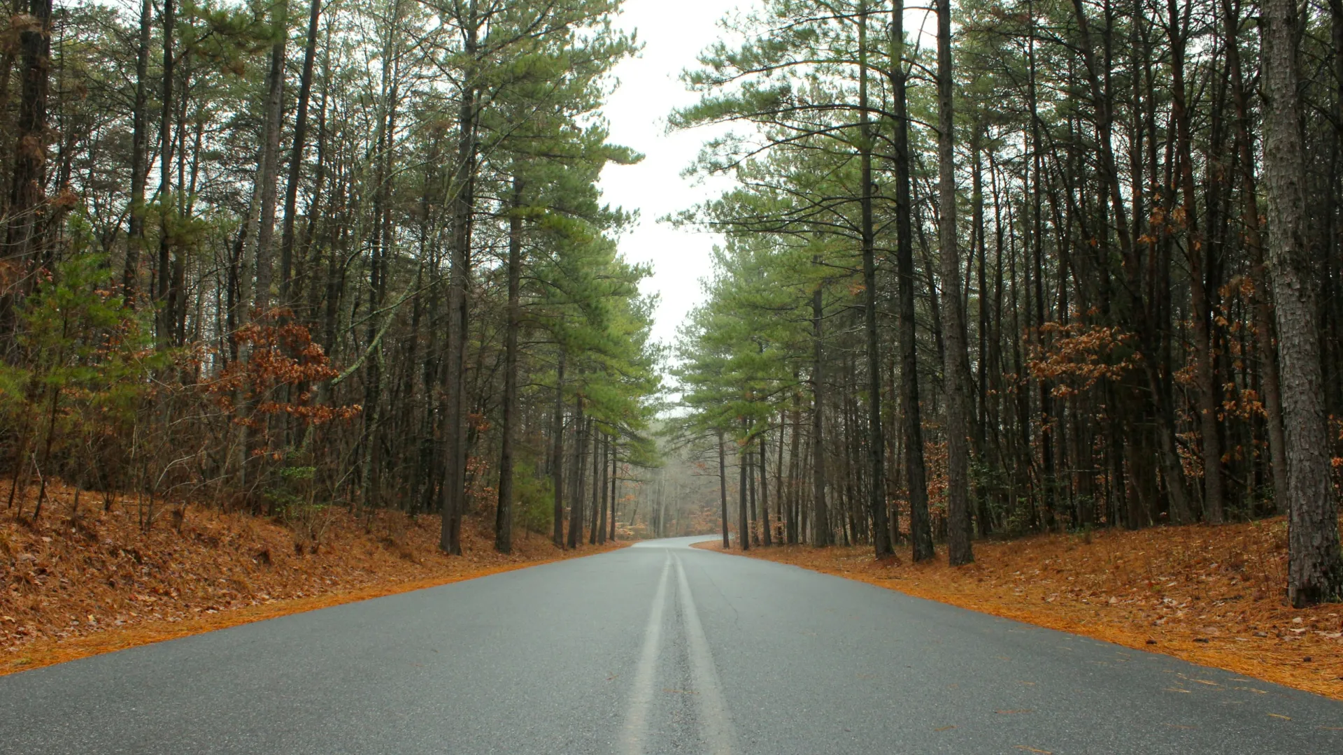 Home Inspectors in Sophia, NC, Randolph, 27350 Home Inspections, Certified Home Inspectors, Residential and Commercial Home Inspections in Sophia, NC, Randolph, 27350