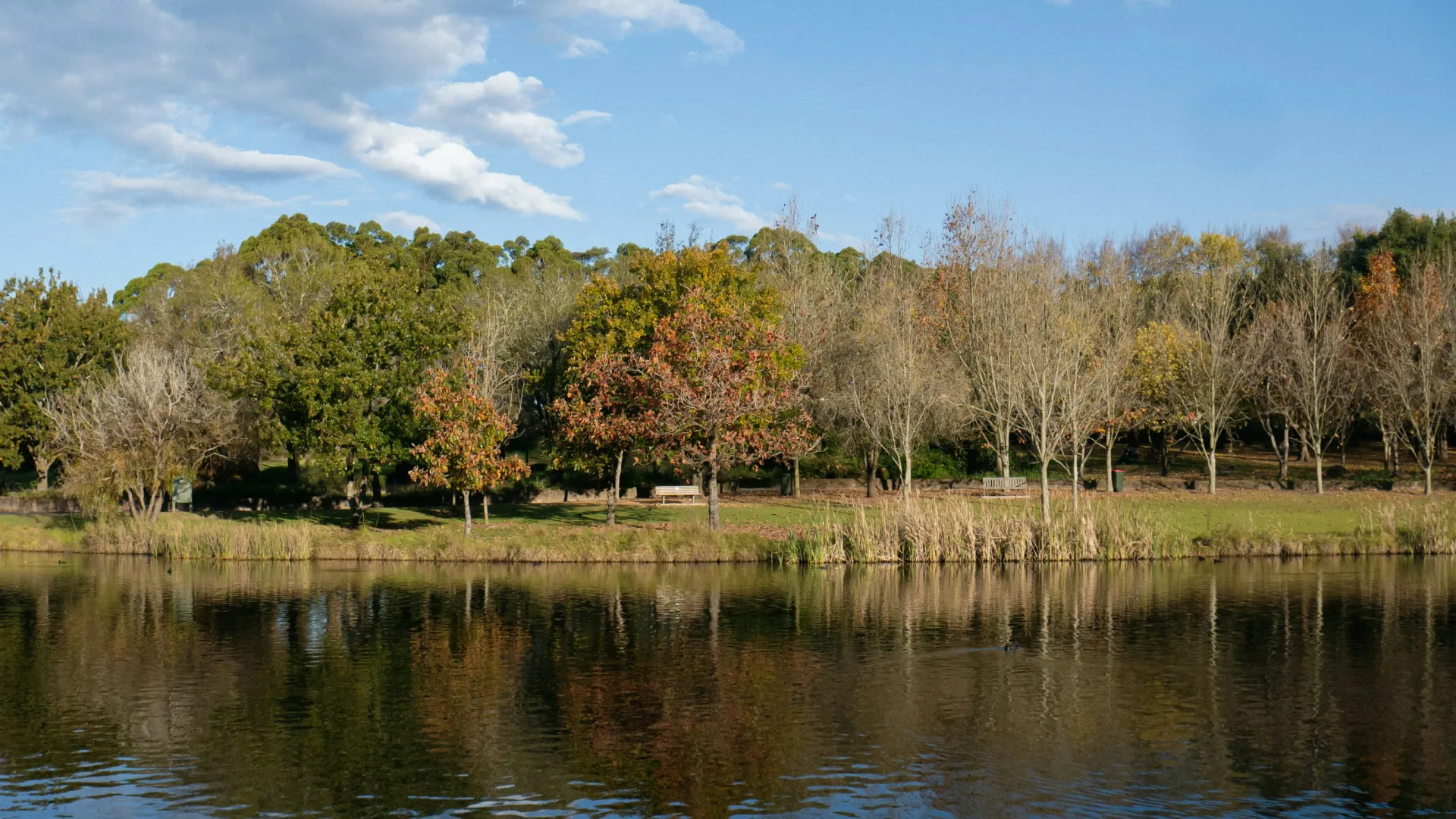 Home Inspectors in Van Wyck, SC, Lancaster, 29744 Home Inspections, Certified Home Inspectors, Residential and Commercial Home Inspections in Van Wyck, SC, Lancaster, 29744