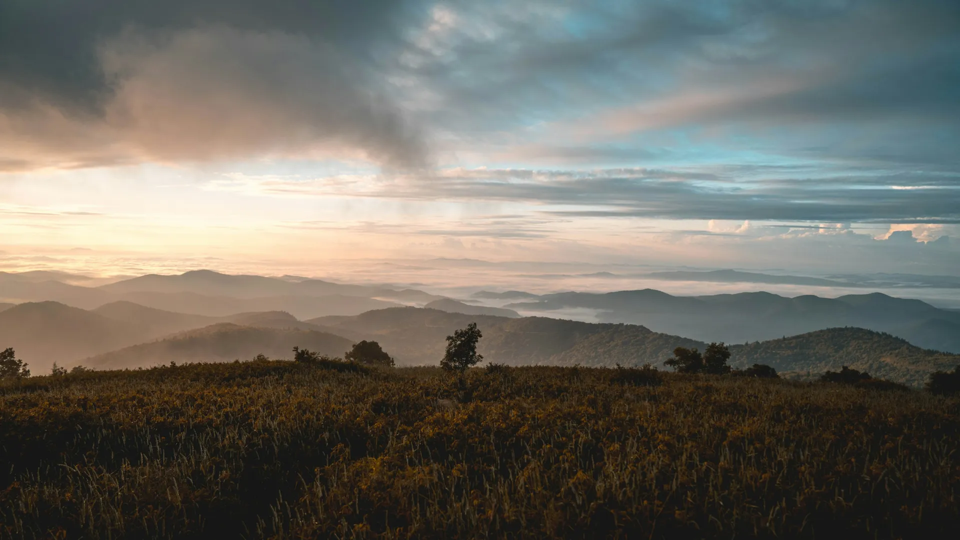 Home Inspectors in Stokesdale, NC, Guilford, 27357 Home Inspections, Certified Home Inspectors, Residential and Commercial Home Inspections in Stokesdale, NC, Guilford, 27357