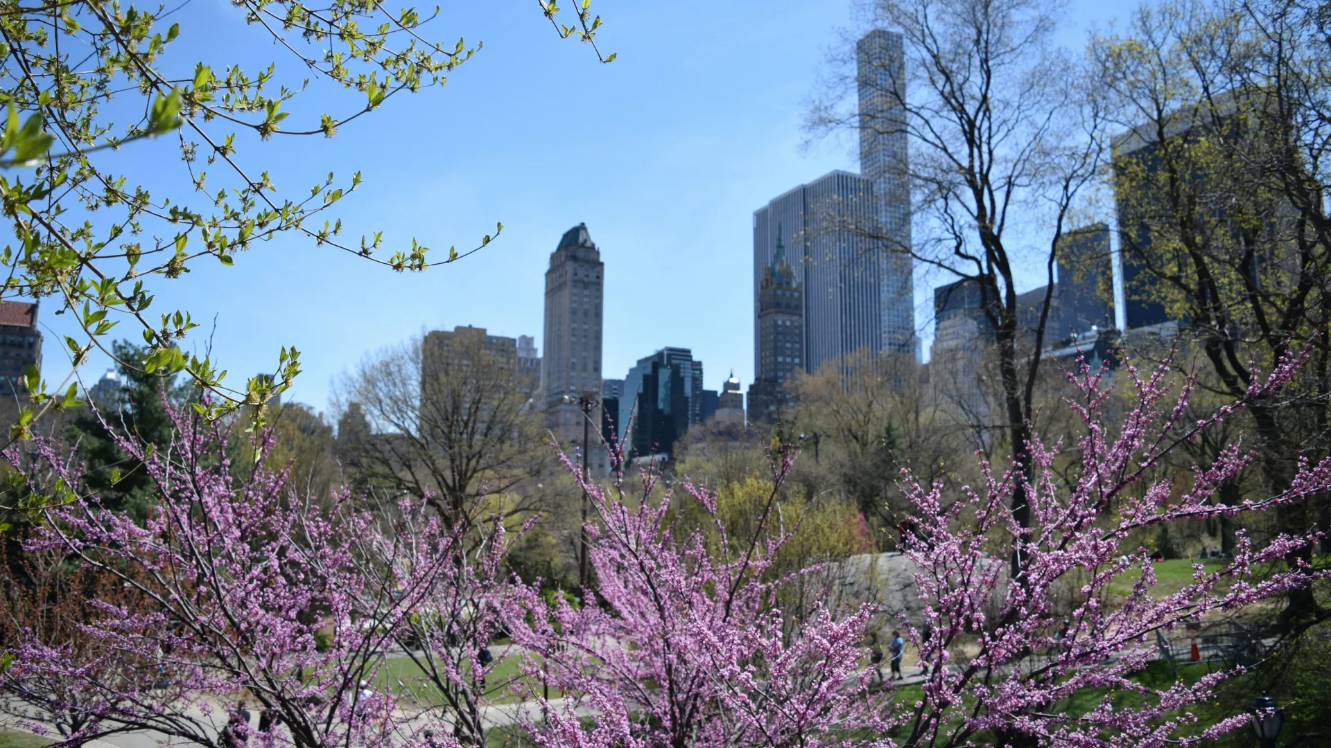 Home Inspectors in Rock Spring, GA, Walker, 30739 Home Inspections, Certified Home Inspectors, Residential and Commercial Home Inspections in Rock Spring, GA, Walker, 30739