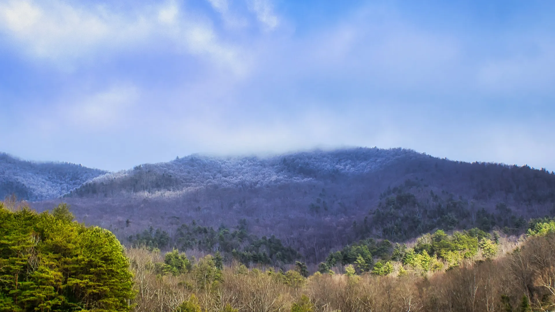 Home Inspectors in East Spencer, NC, Rowan, 28039 Home Inspections, Certified Home Inspectors, Residential and Commercial Home Inspections in East Spencer, NC, Rowan, 28039