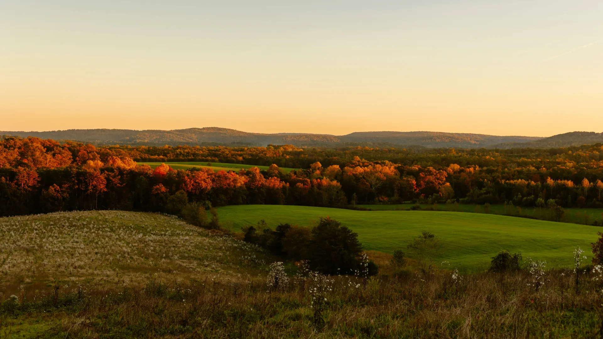 Home Inspectors in Decatur, Tennessee, Meigs County, 37322 Home Inspections, Certified Home Inspectors, Residential and Commercial Home Inspections in Decatur, Tennessee, Meigs County, 37322