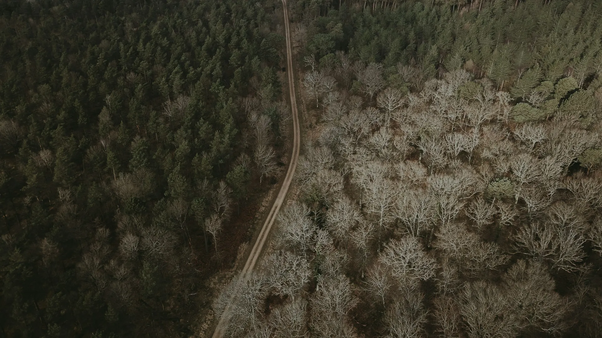 Home Inspectors in Dalton, GA, Whitfield County, 30720 Home Inspections, Certified Home Inspectors, Residential and Commercial Home Inspections in Dalton, GA, Whitfield County, 30720