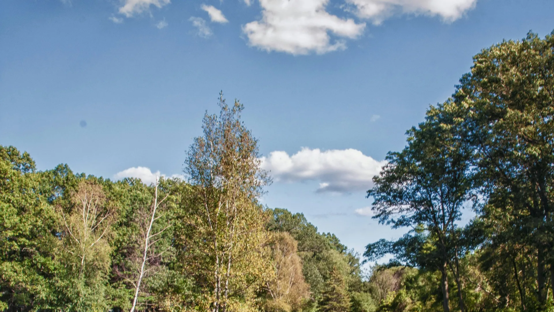 Home Inspectors in Hickory, NC, Catawba, Alexander, Burke, Caldwell, 28601 Home Inspections, Certified Home Inspectors, Residential and Commercial Home Inspections in Hickory, NC, Catawba, Alexander, Burke, Caldwell, 28601