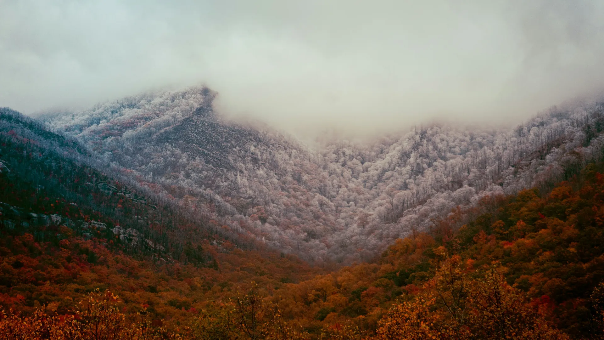 Home Inspectors in Mount Mourne, NC, Iredell, 28123 Home Inspections, Certified Home Inspectors, Residential and Commercial Home Inspections in Mount Mourne, NC, Iredell, 28123