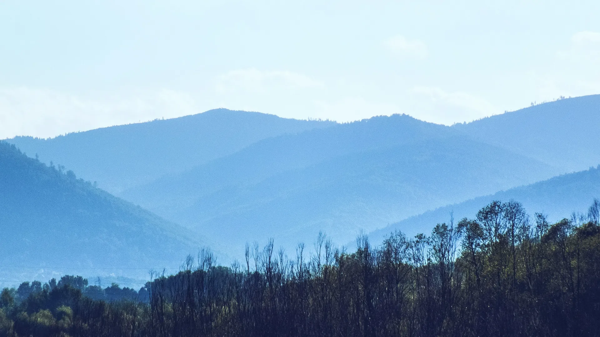 Home Inspectors in Wingate, NC, Union, 28174 Home Inspections, Certified Home Inspectors, Residential and Commercial Home Inspections in Wingate, NC, Union, 28174