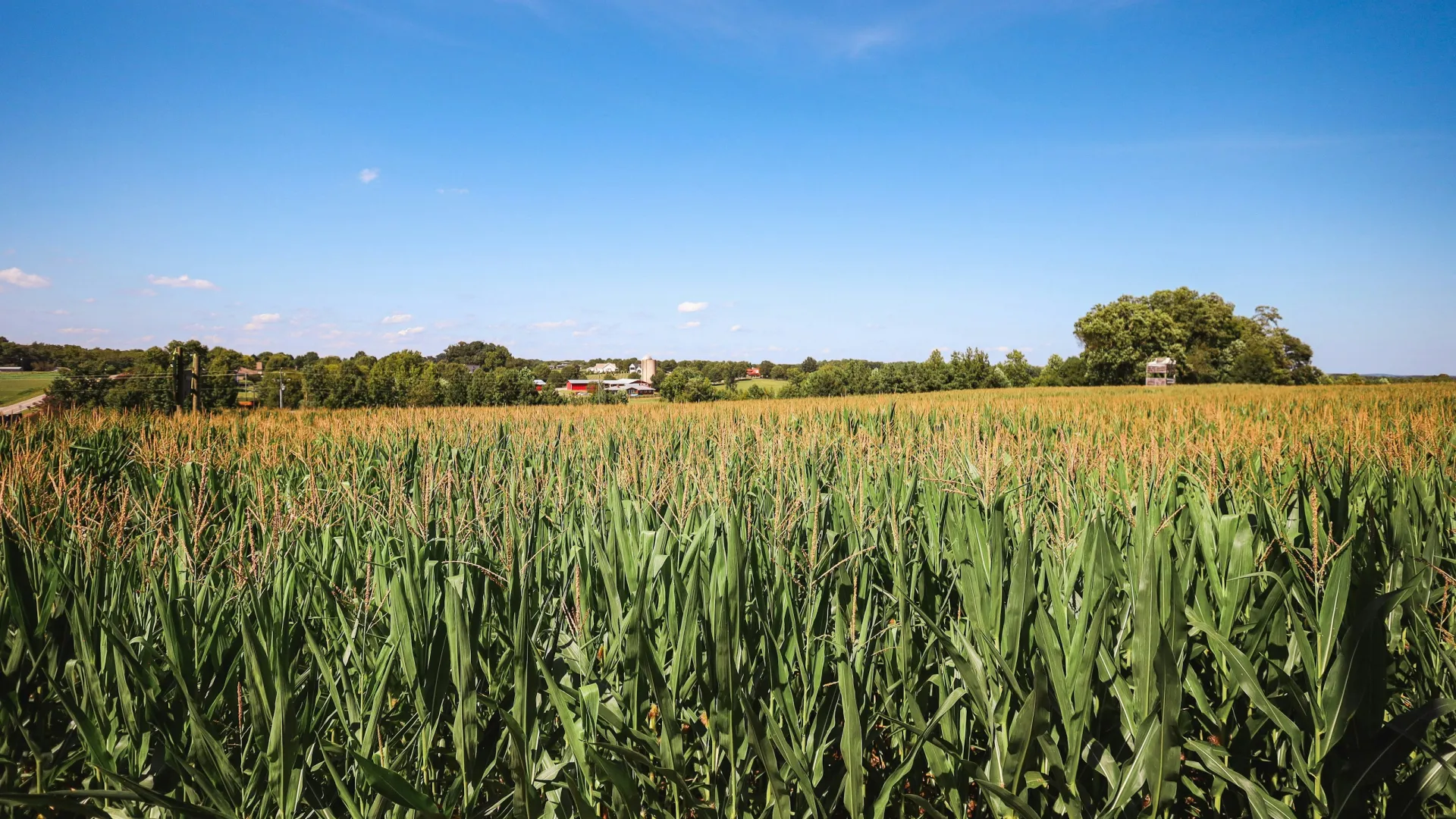 Home Inspectors in Siler City, NC, Chatham, 27344 Home Inspections, Certified Home Inspectors, Residential and Commercial Home Inspections in Siler City, NC, Chatham, 27344