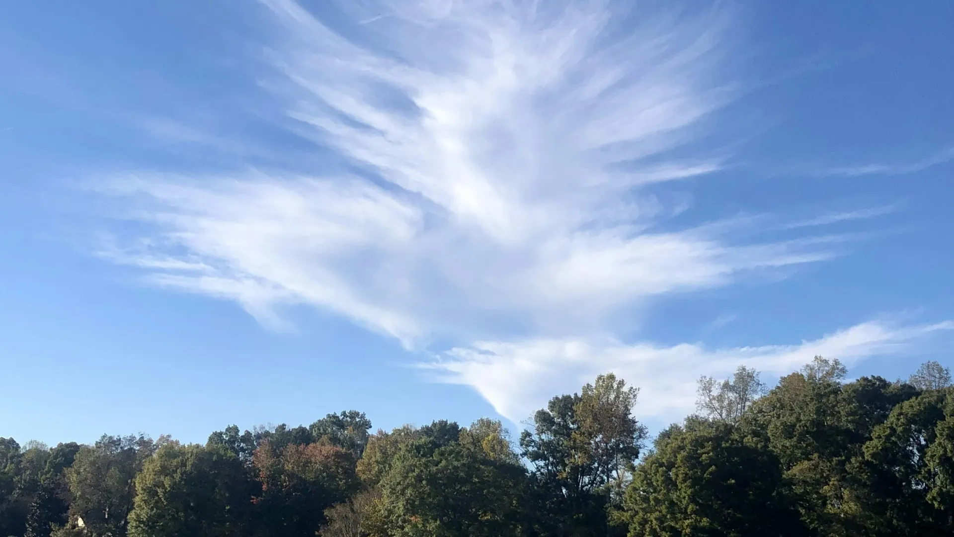 Home Inspectors in Donalds, SC, Abbeville, 29638 Home Inspections, Certified Home Inspectors, Residential and Commercial Home Inspections in Donalds, SC, Abbeville, 29638