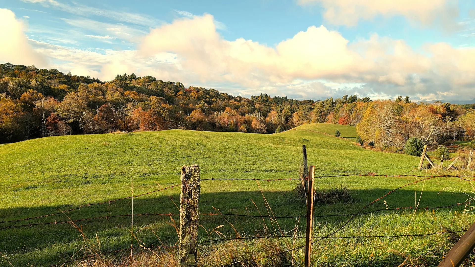 Home Inspectors in Thomasville, NC, Davidson, 27360, 27361 Home Inspections, Certified Home Inspectors, Residential and Commercial Home Inspections in Thomasville, NC, Davidson, 27360, 27361