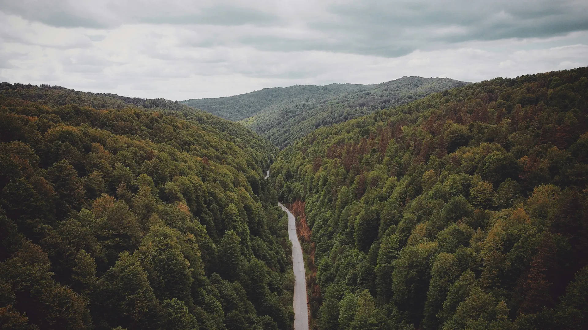 Home Inspectors in Farner, Tennessee, Polk County, 37333 Home Inspections, Certified Home Inspectors, Residential and Commercial Home Inspections in Farner, Tennessee, Polk County, 37333