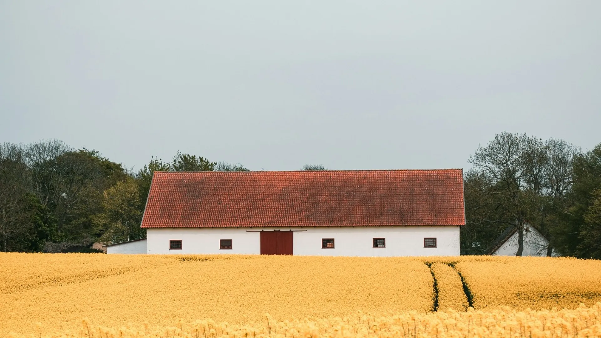 Residential and Commercial Inspection in Bowdon Junction, Bowdon Junction Home Inspections, Bowdon Junction Home Inspector, a home pro inspector in Bowdon Junction, FAA Certified Drone Inspections in Bowdon Junction, Sewer Scope Inspections in Bowdon Junction, FAQs