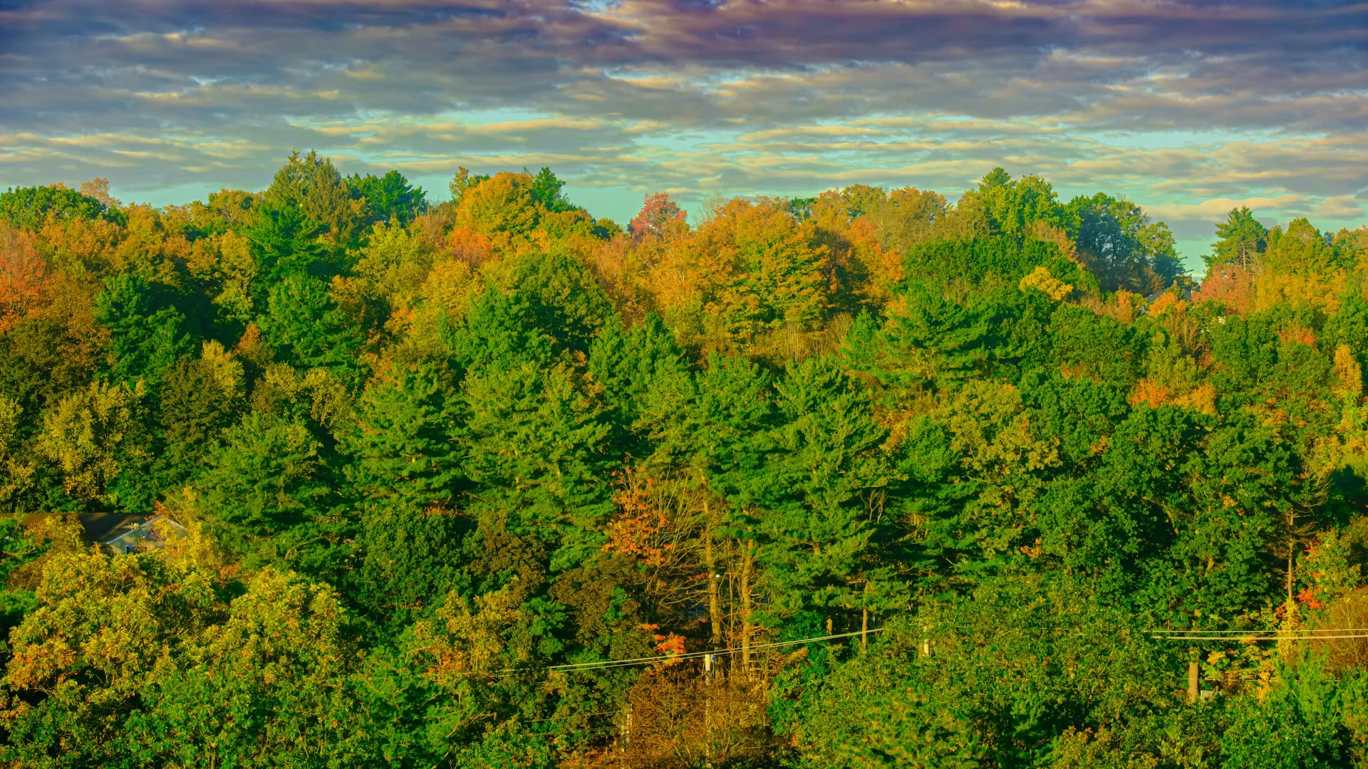 Home Inspectors in Ware Shoals, SC, Laurens, 29692 Home Inspections, Certified Home Inspectors, Residential and Commercial Home Inspections in Ware Shoals, SC, Laurens, 29692