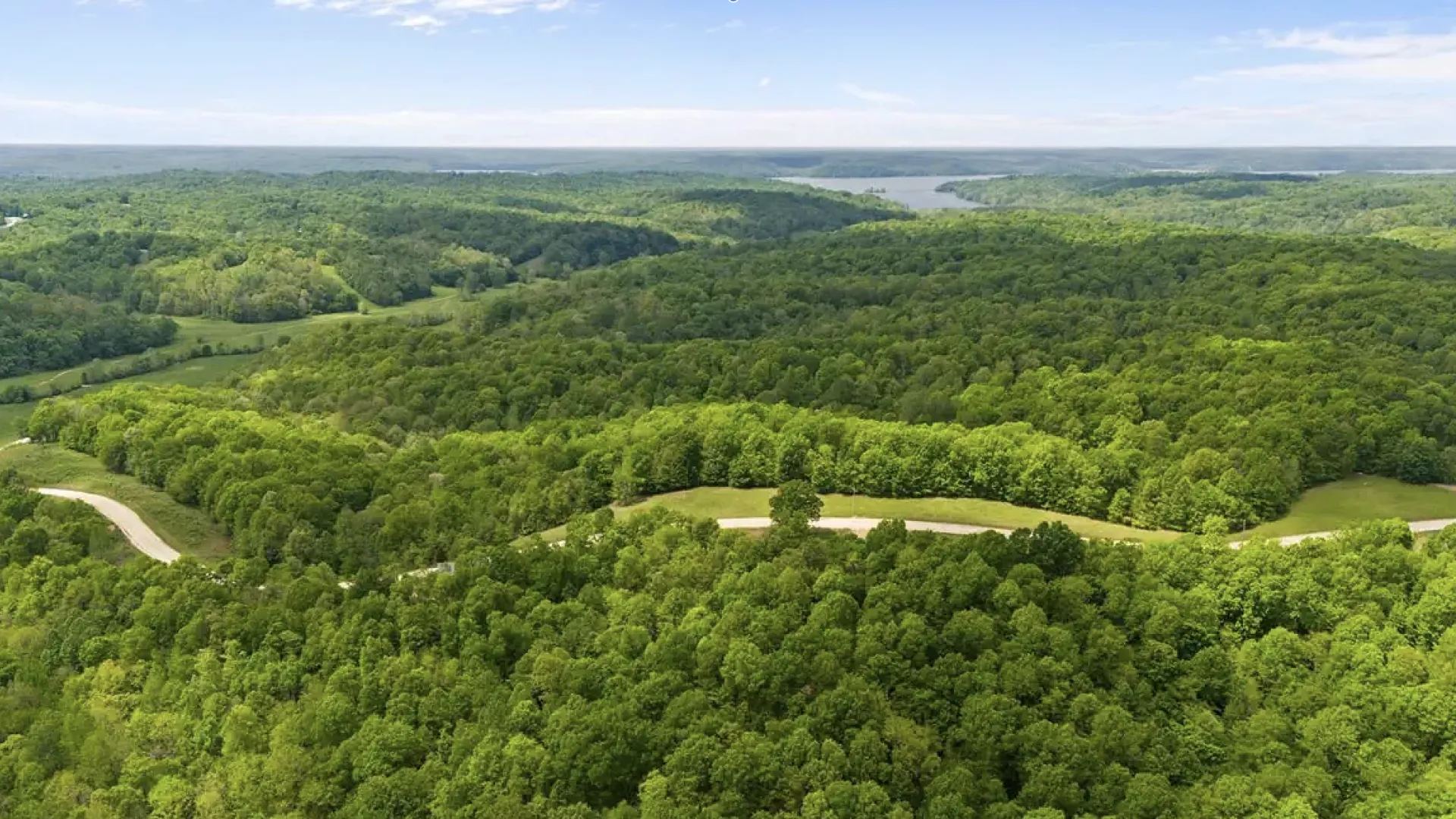 Aerial view of lush green forests, winding roads, and distant river under a bright sky.
