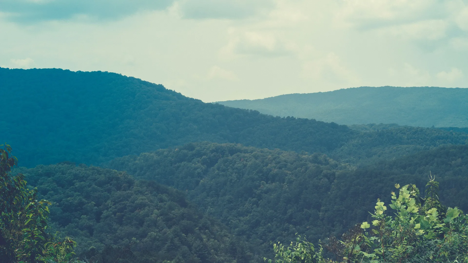 Home Inspectors in Butner, NC, Granville County, 27509 Home Inspections, Certified Home Inspectors, Residential and Commercial Home Inspections in Butner, NC, Granville County, 27509