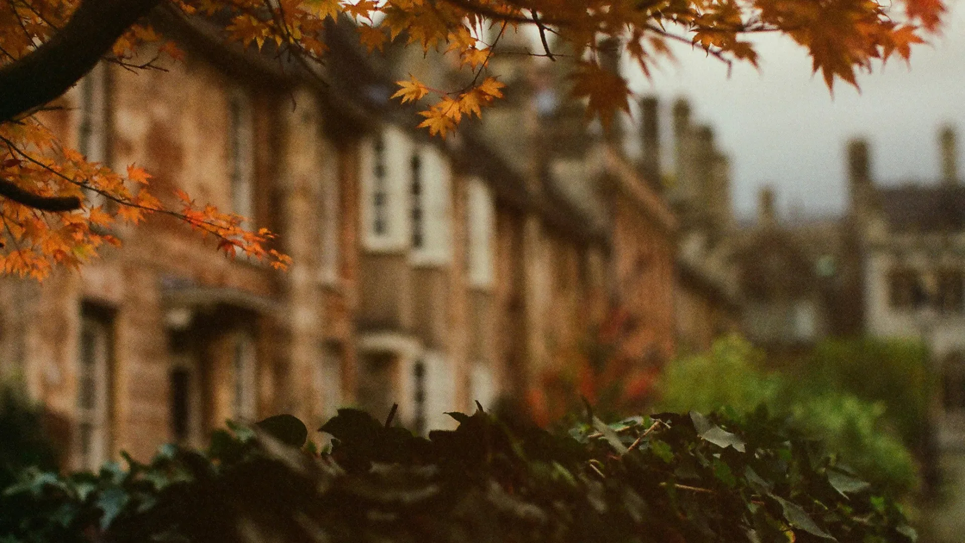 Home Inspectors in Hamlet, NC, Richmond County, 28345 Home Inspections, Certified Home Inspectors, Residential and Commercial Home Inspections in Hamlet, NC, Richmond County, 28345