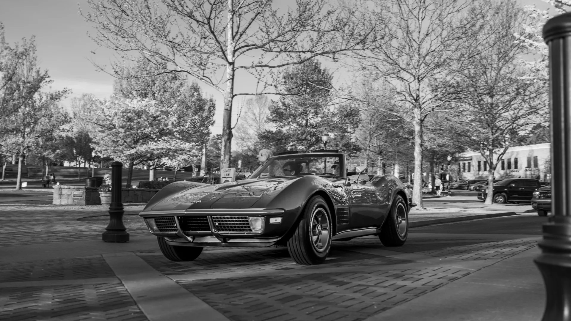 Residential and Commercial Inspection in Suwanee, Suwanee Home Inspections, Suwanee Home Inspector, a home pro inspector in Suwanee, FAA Certified Drone Inspections in Suwanee, Sewer Scope Inspections in Suwanee, FAQs