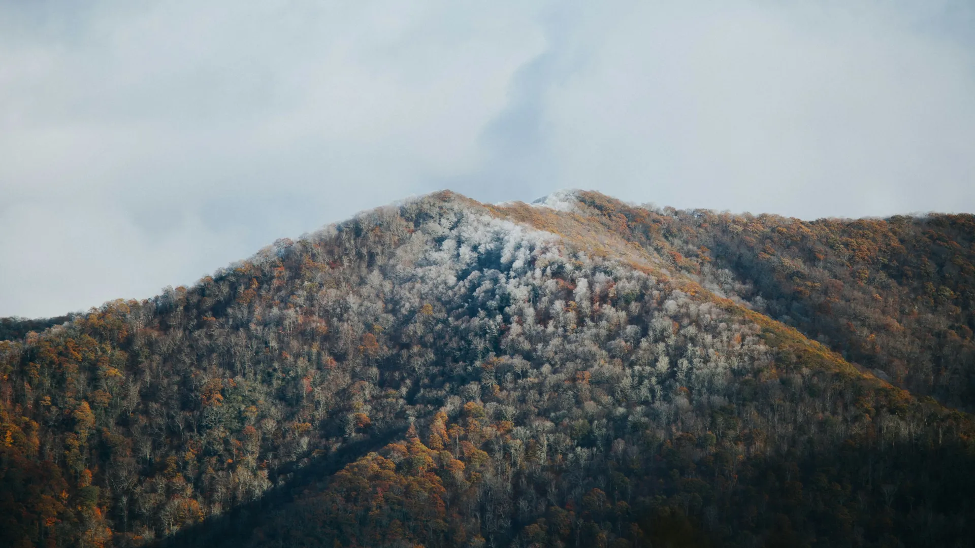 Home Inspectors in Whiteside, TN, Marion County, 37396 Home Inspections, Certified Home Inspectors, Residential and Commercial Home Inspections in Whiteside, TN, Marion County, 37396