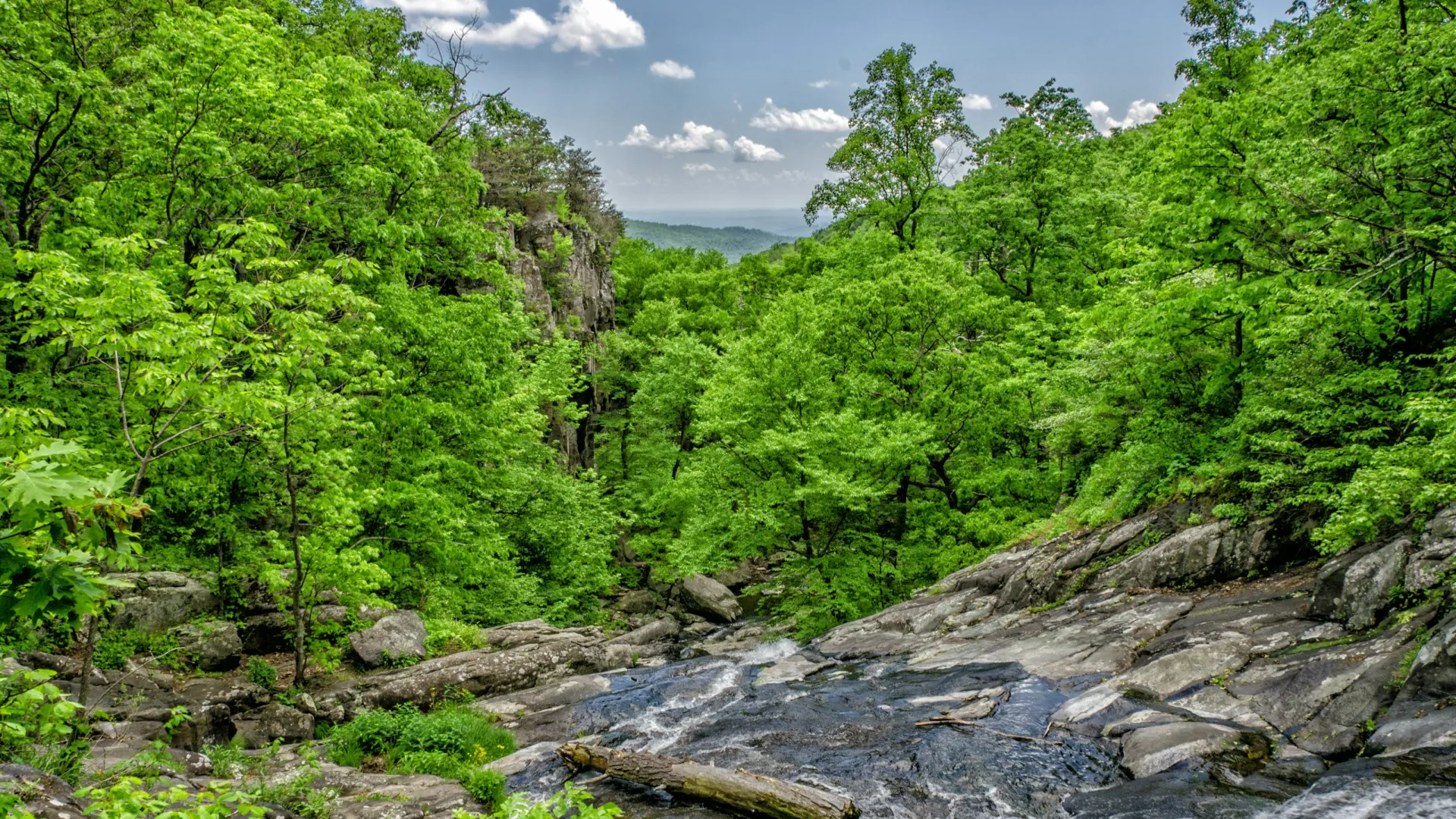 Home Inspectors in Copperhill, Tennessee, Polk County, 37317 Home Inspections, Certified Home Inspectors, Residential and Commercial Home Inspections in Copperhill, Tennessee, Polk County, 37317