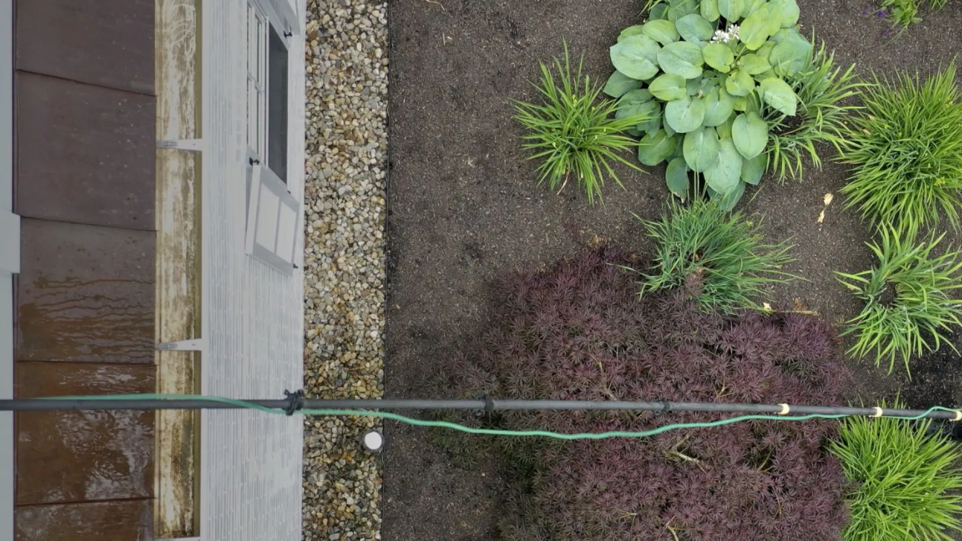 a person standing next to a wall with plants growing on it