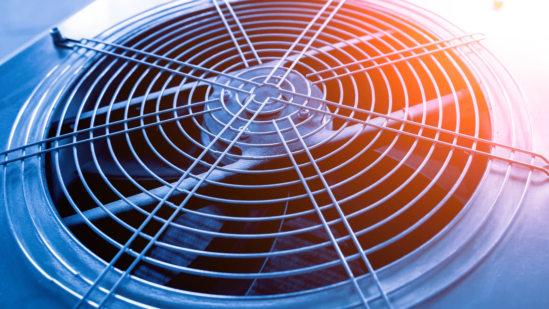 a close-up of a fan