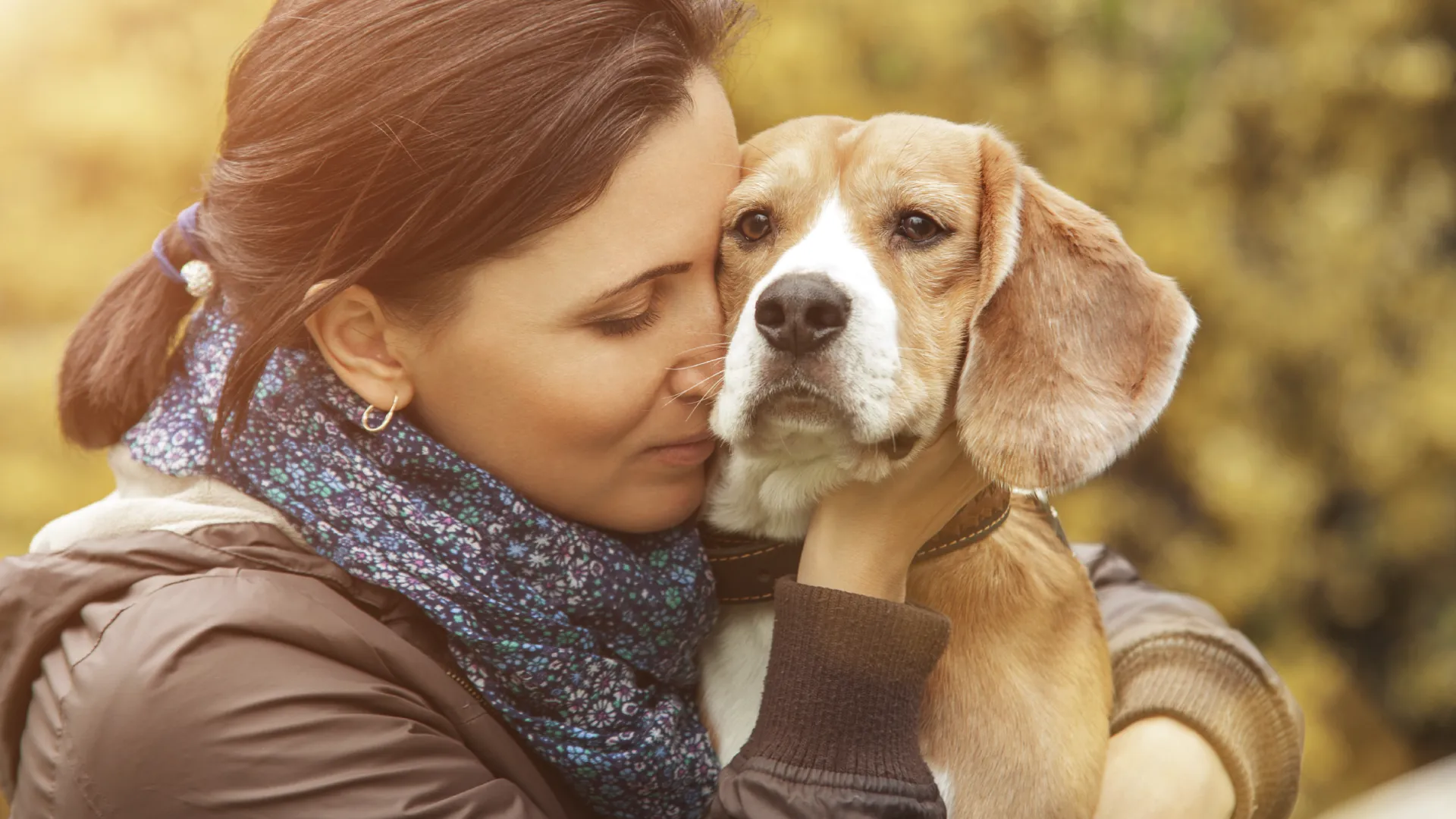 How are Pets (Dogs shown) handled in a Georgia Divorce?