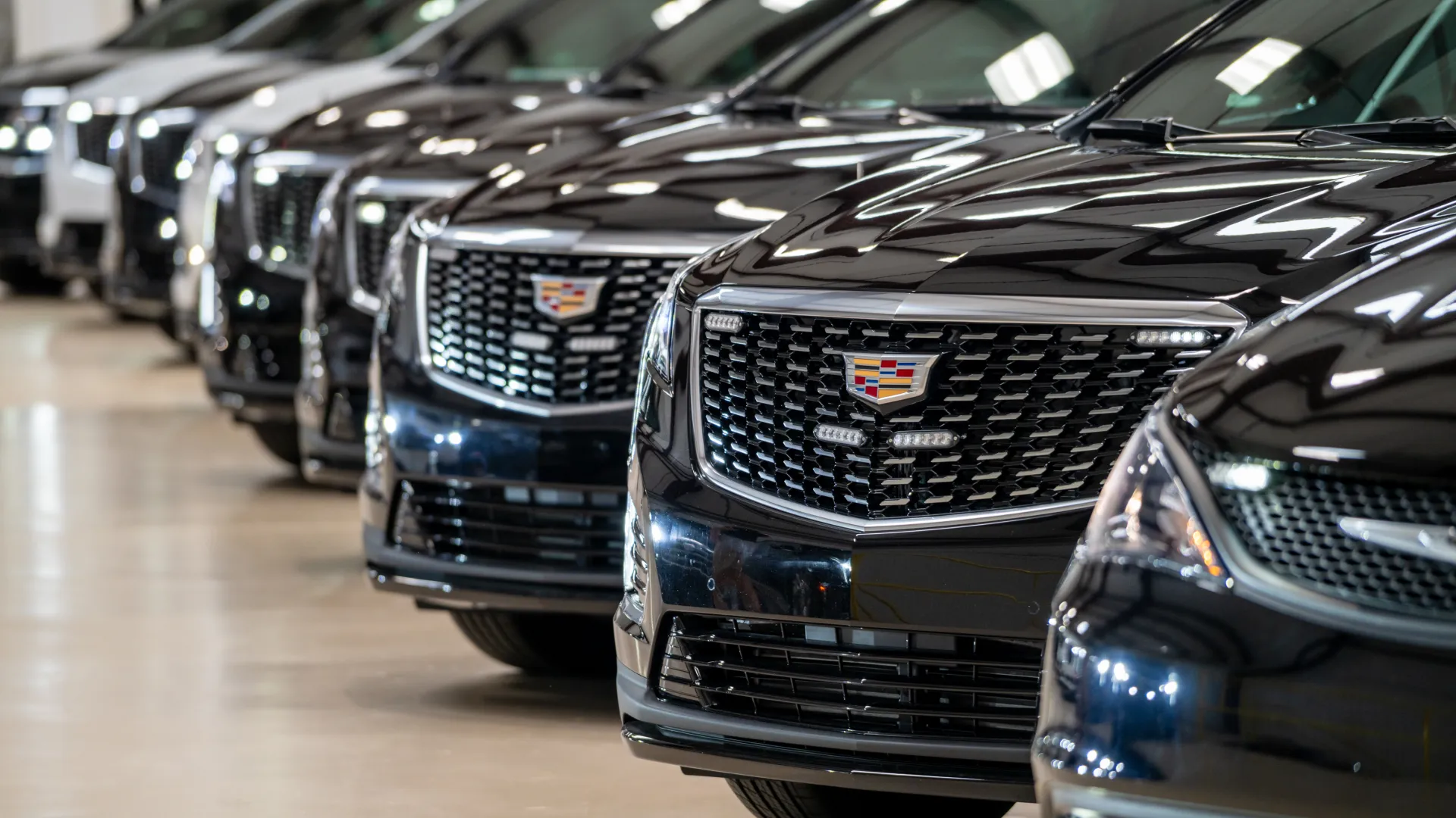 Row of black Cadillac cars lined up indoors with prominent front grilles and logos in showroom lighting.