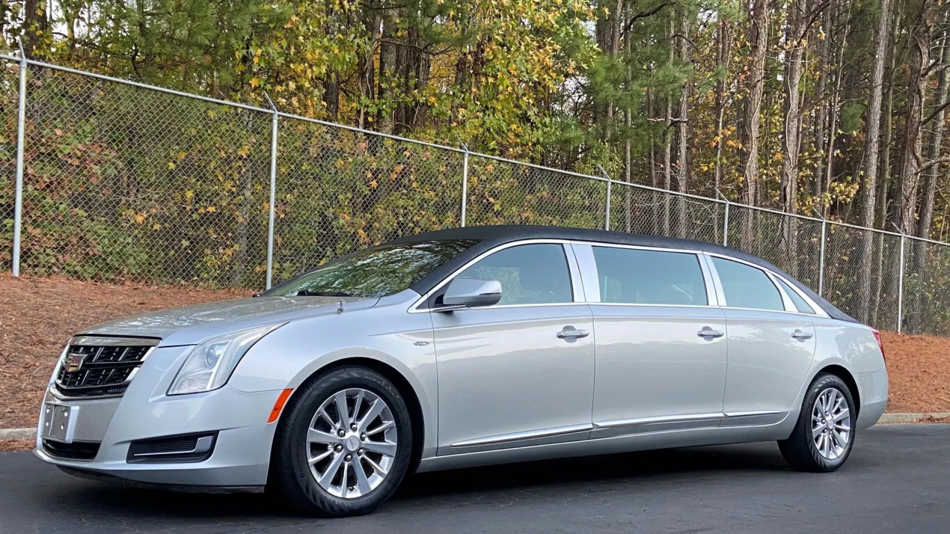 Silver Cadillac limousine parked on a tree-lined background, showcasing its elongated design.