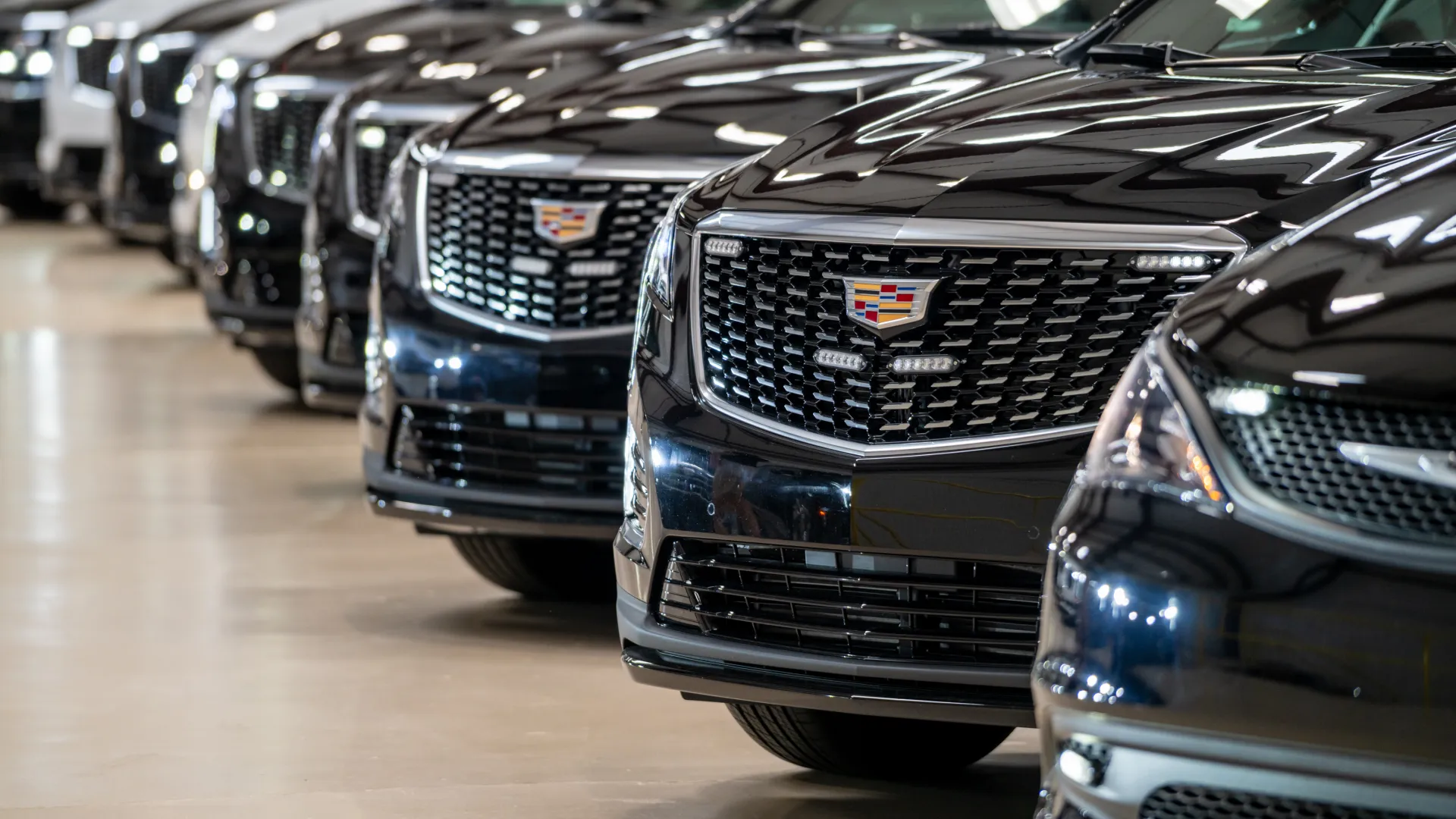 Row of shiny black Cadillac vehicles parked indoors showing front grilles and badges in focus.