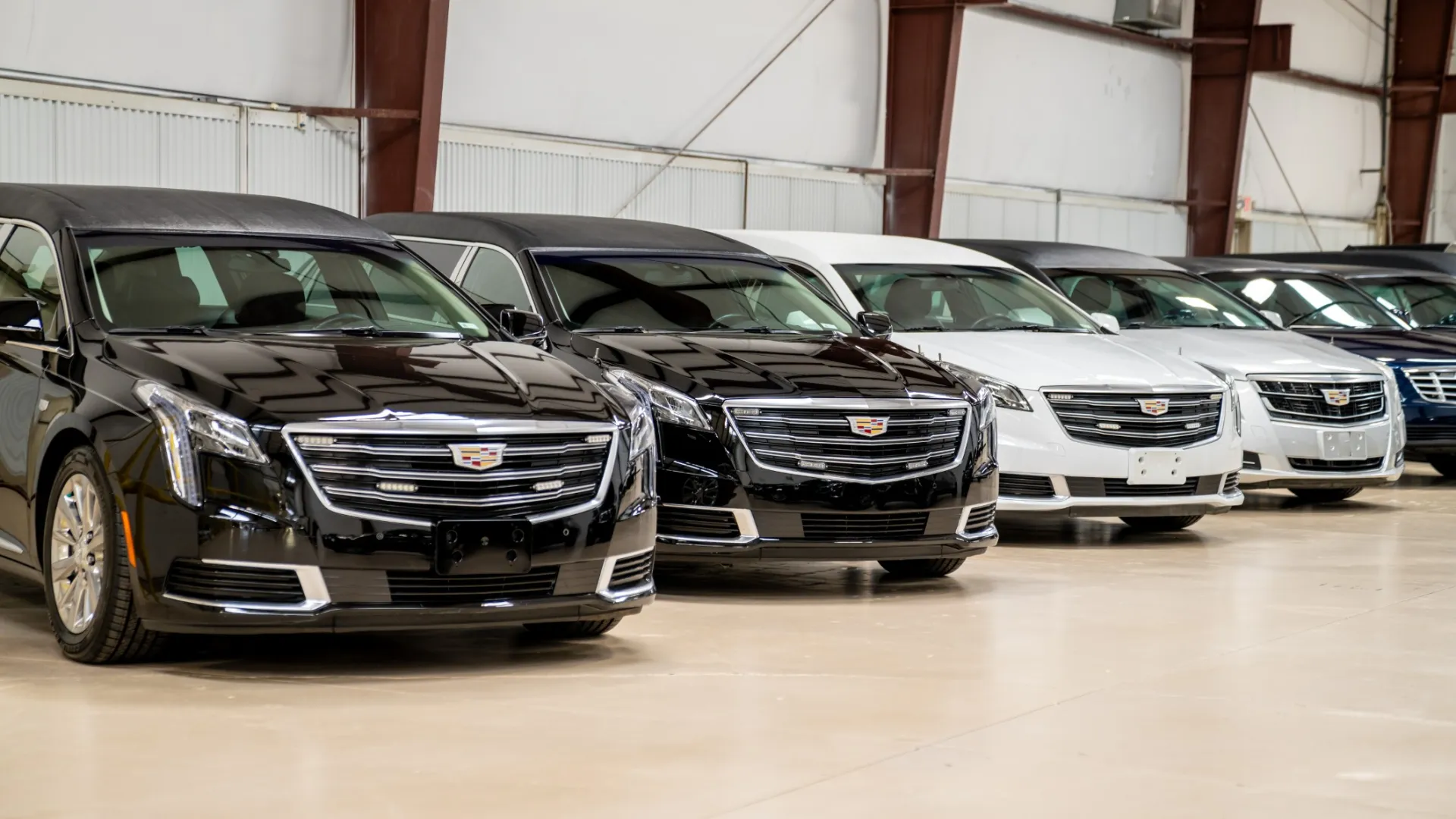 Row of luxury Cadillac sedans in black, white, and blue parked in a spacious indoor showroom.