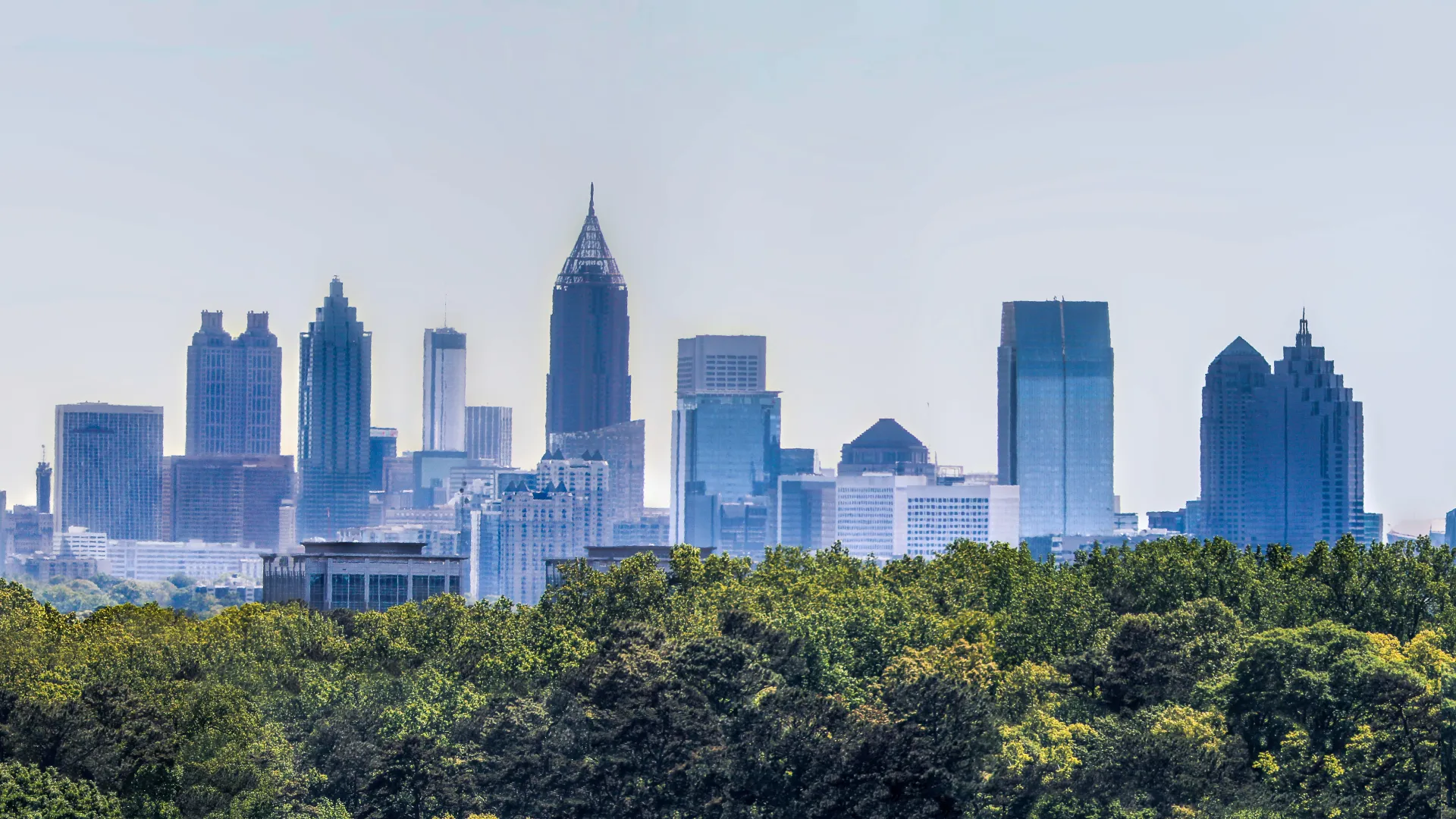 Panoramic view of a city skyline with tall buildings and dense green trees in the foreground under a clear sky