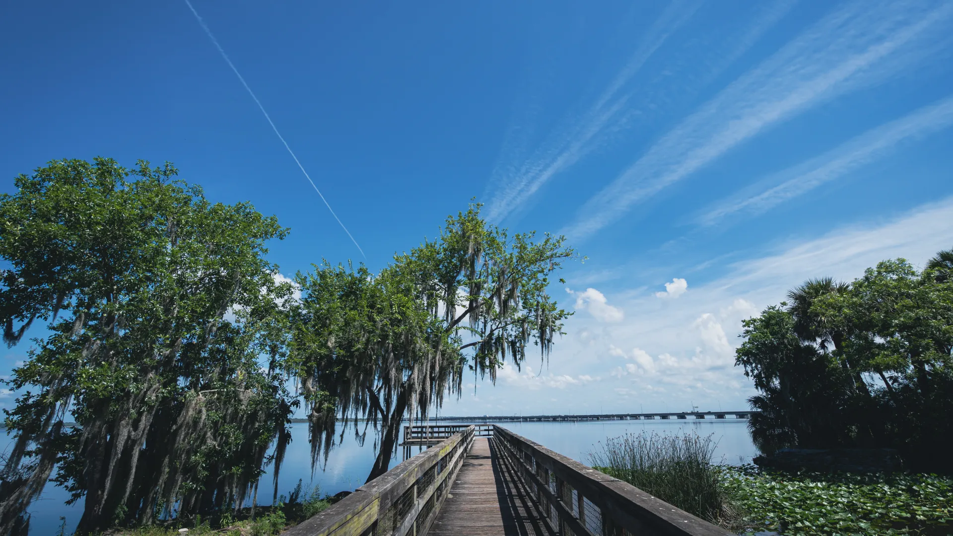 Wooden boardwalk leading to a lake with large moss-draped trees under a clear blue sky with wispy clouds.