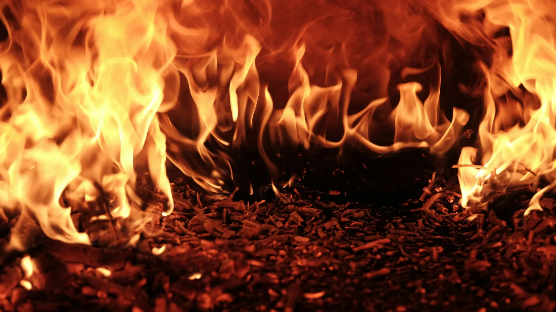 Bright orange flames engulf burning wood chips in a fierce and dynamic fire close-up.