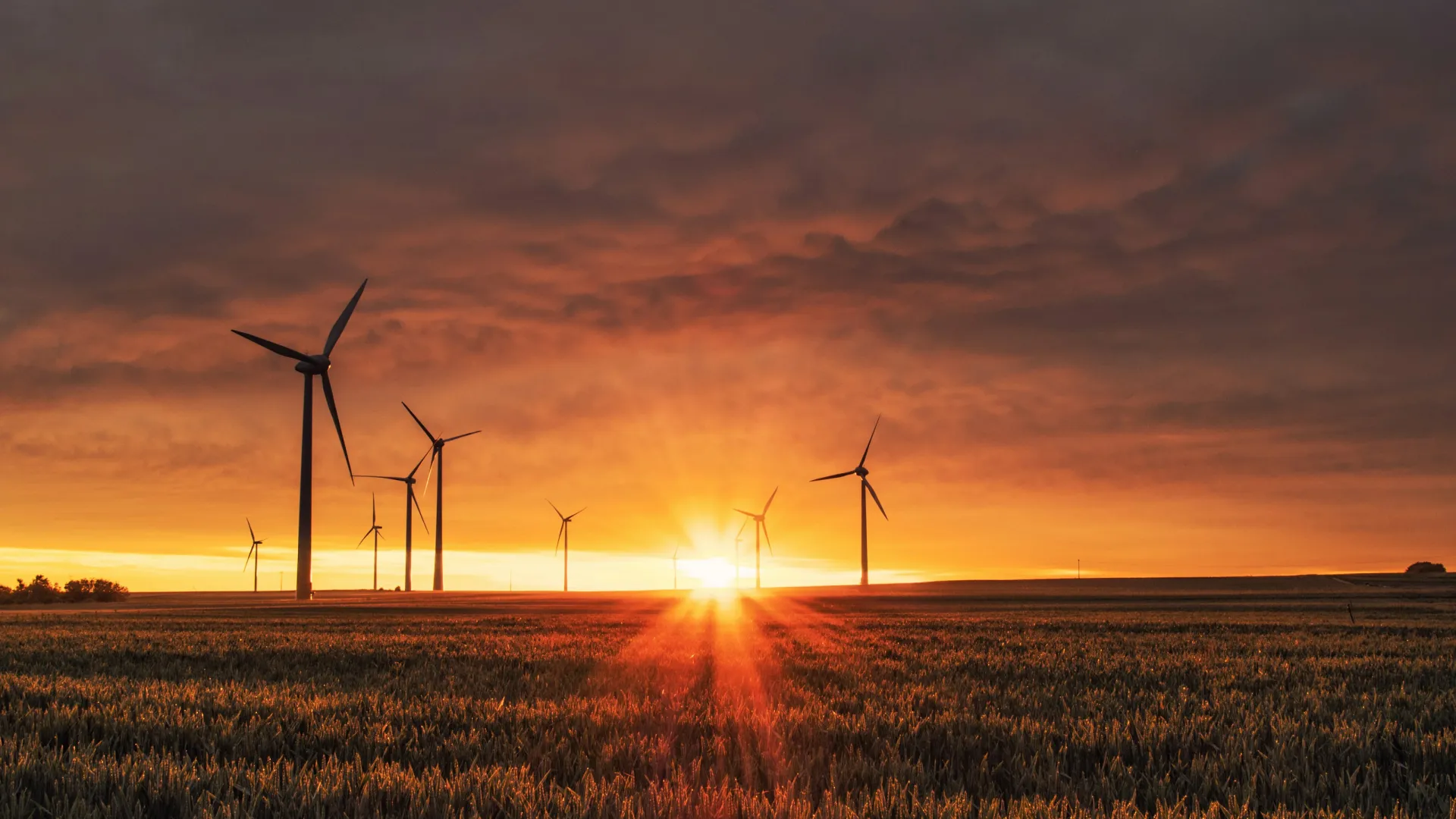 a group of windmills in a field at sunset