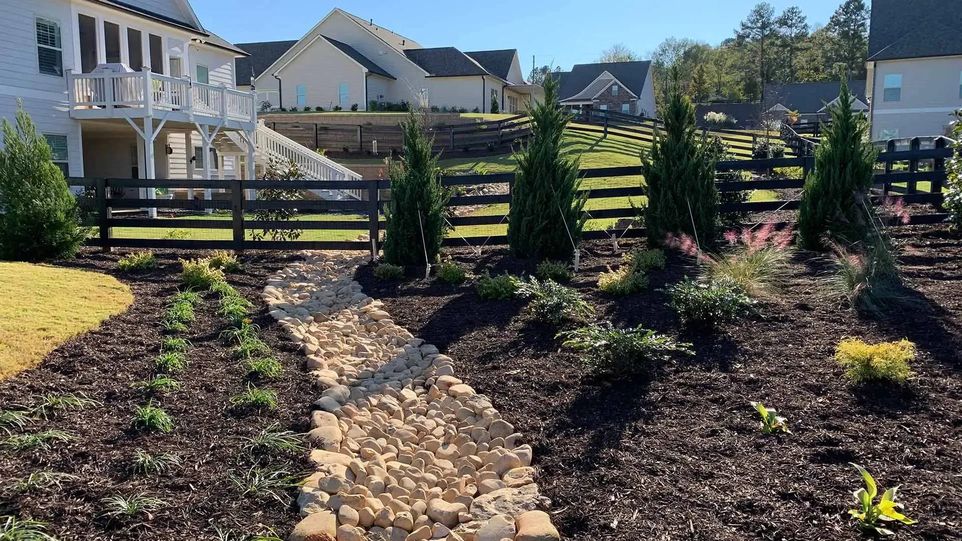 a garden in a backyard