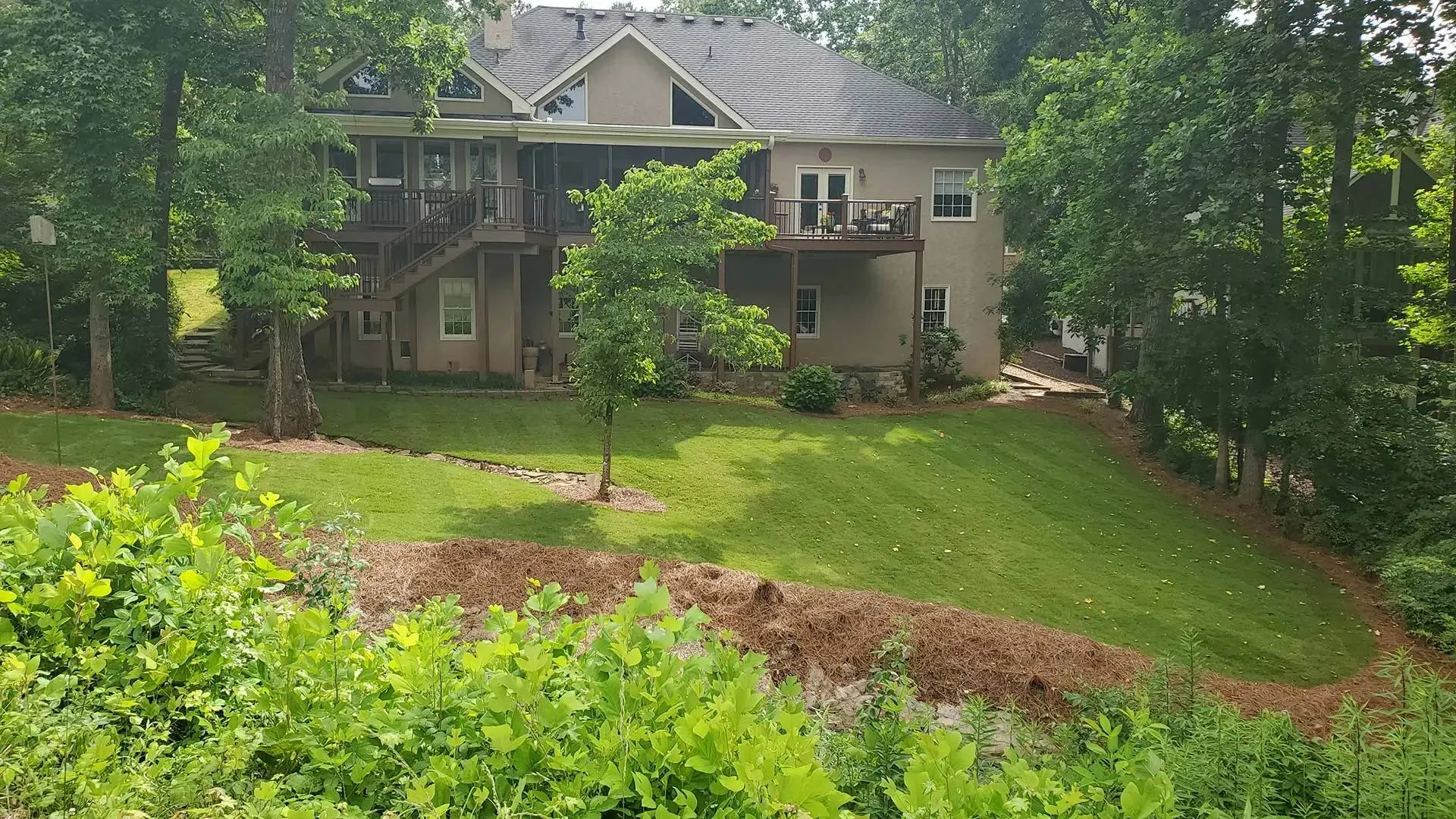 a house with trees and grass