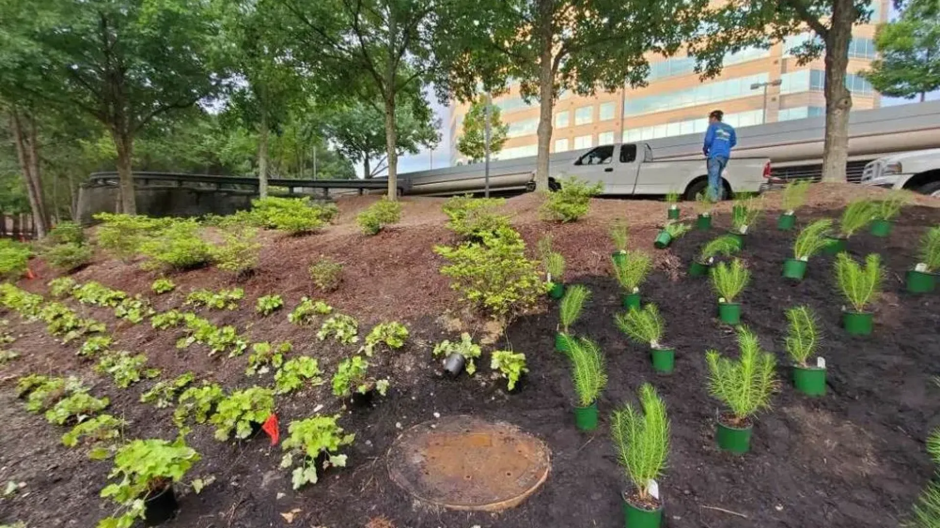 a person walking in a garden