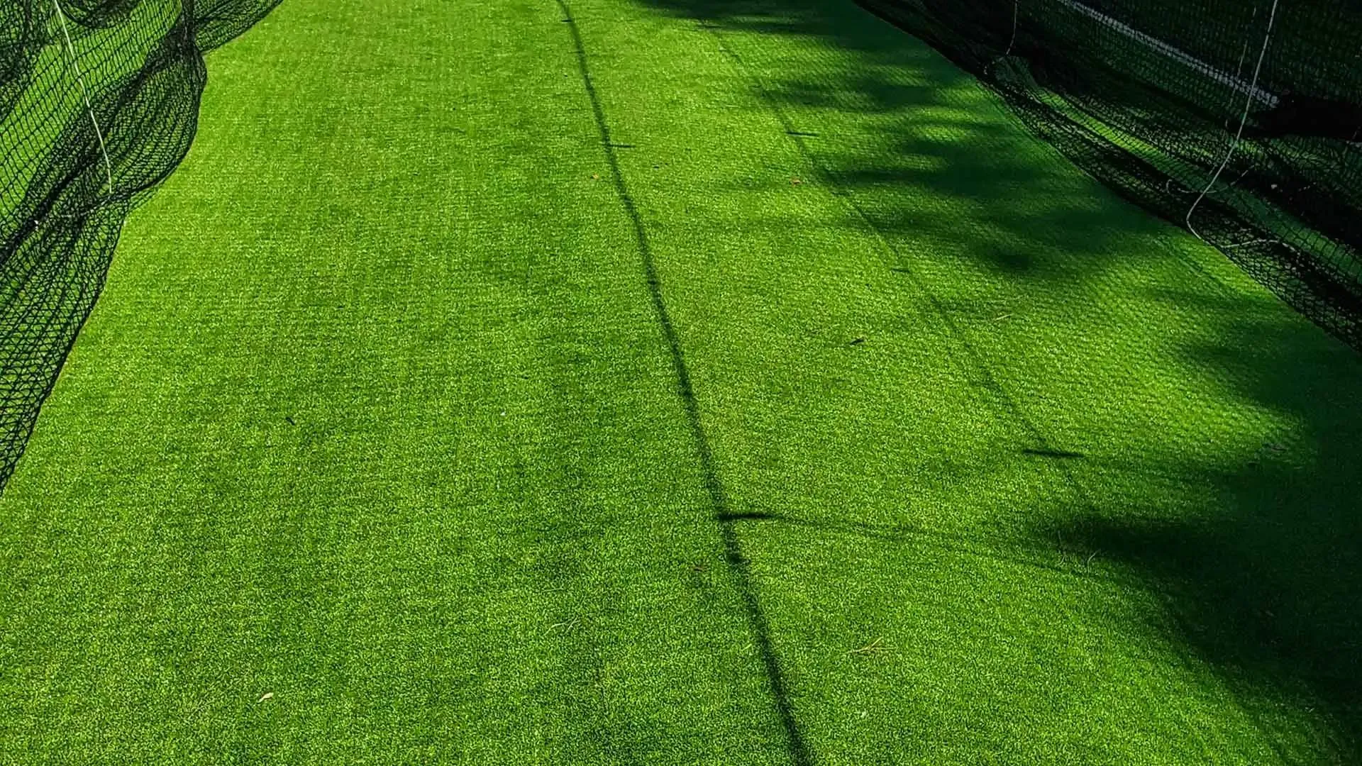 a close-up of a green field